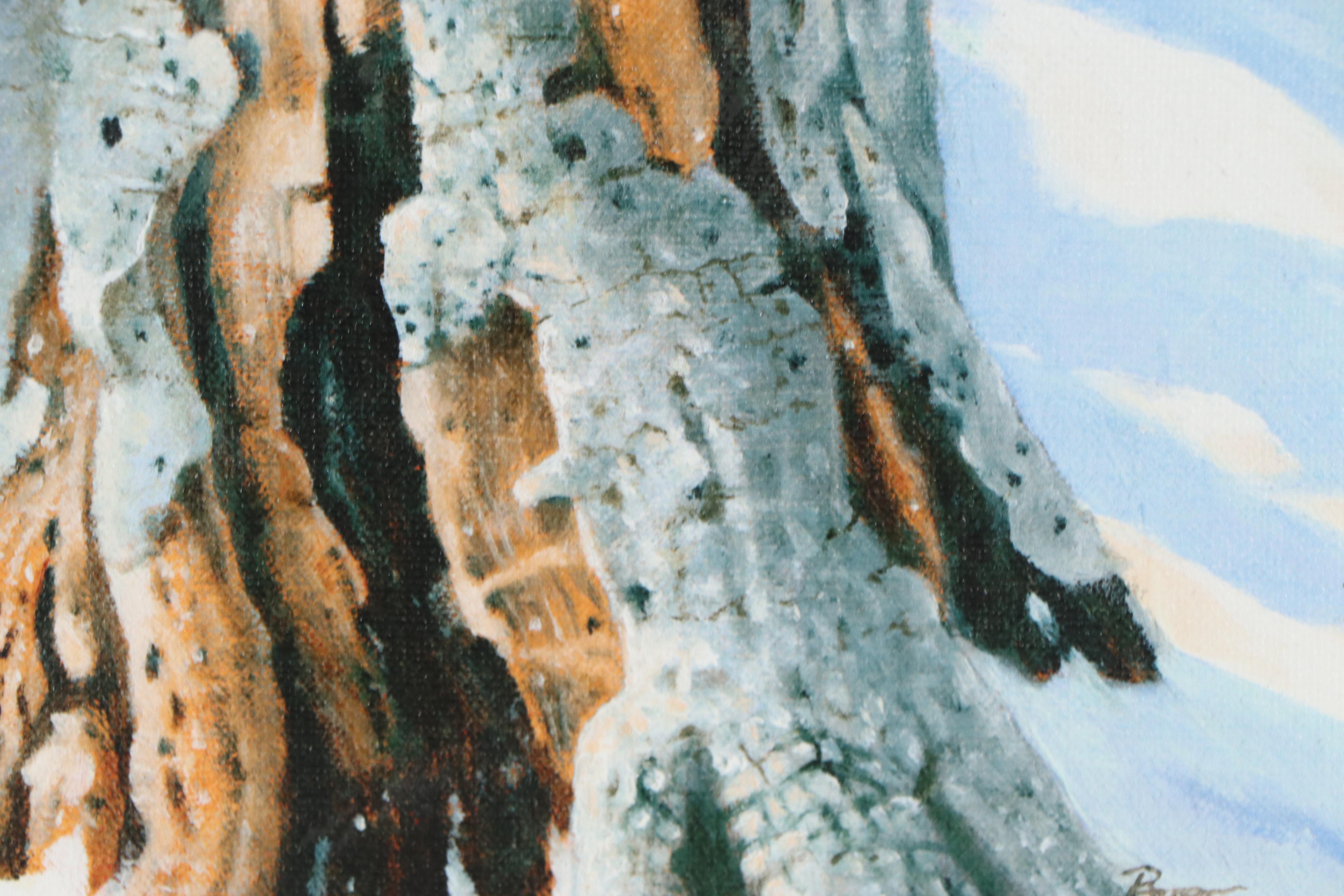 DeVere Burt Giclée of Woodpecker, 2007