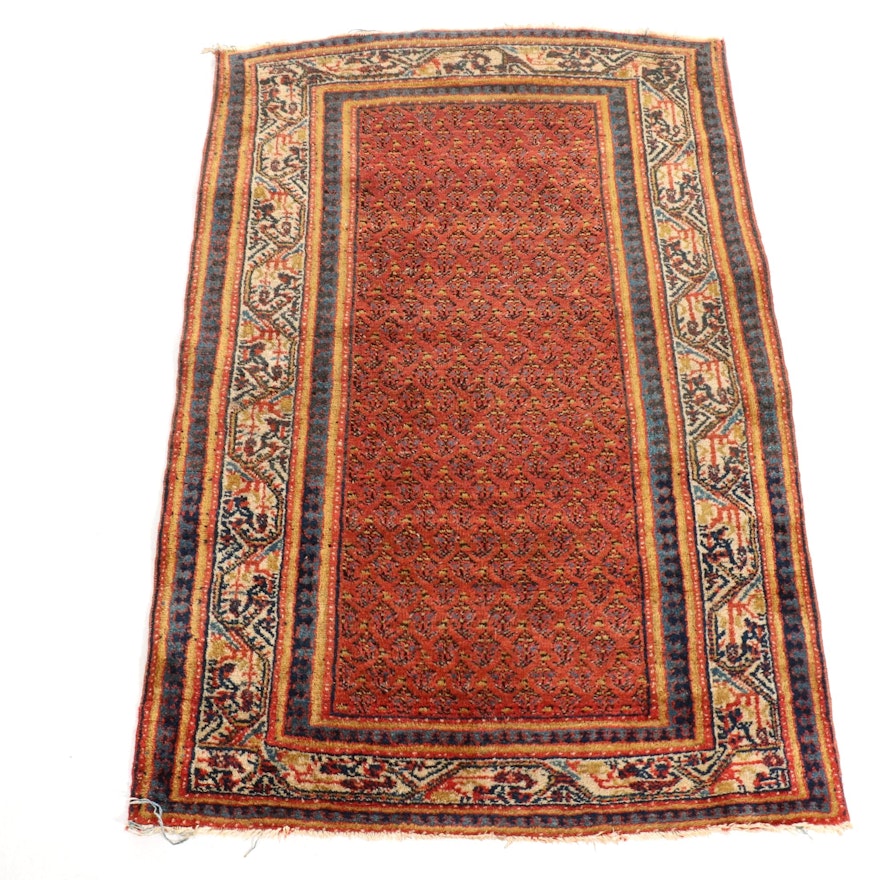 3'4 x 4'10 Hand-Knotted Seraband Wool Rug