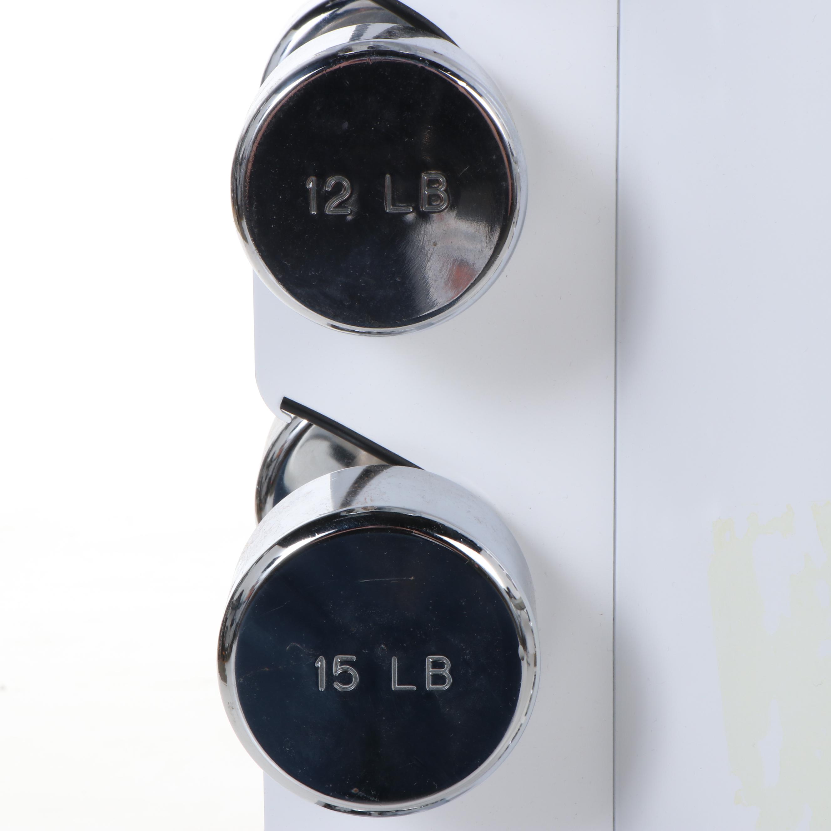 Set of Vectra Exercise Weights with Rack