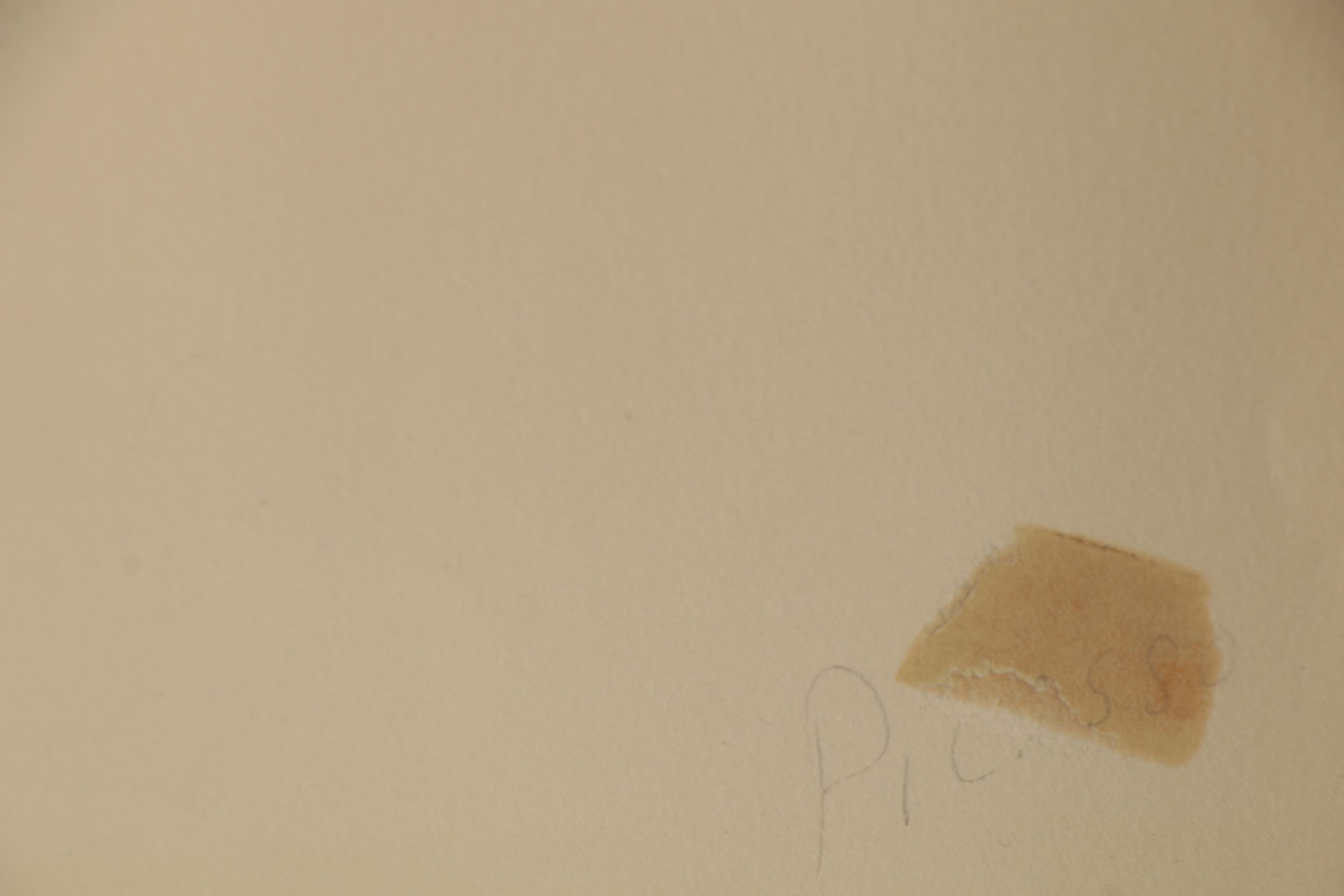 Collotype after Pablo Picasso from "Mes Dessins d'Antibes," 1958