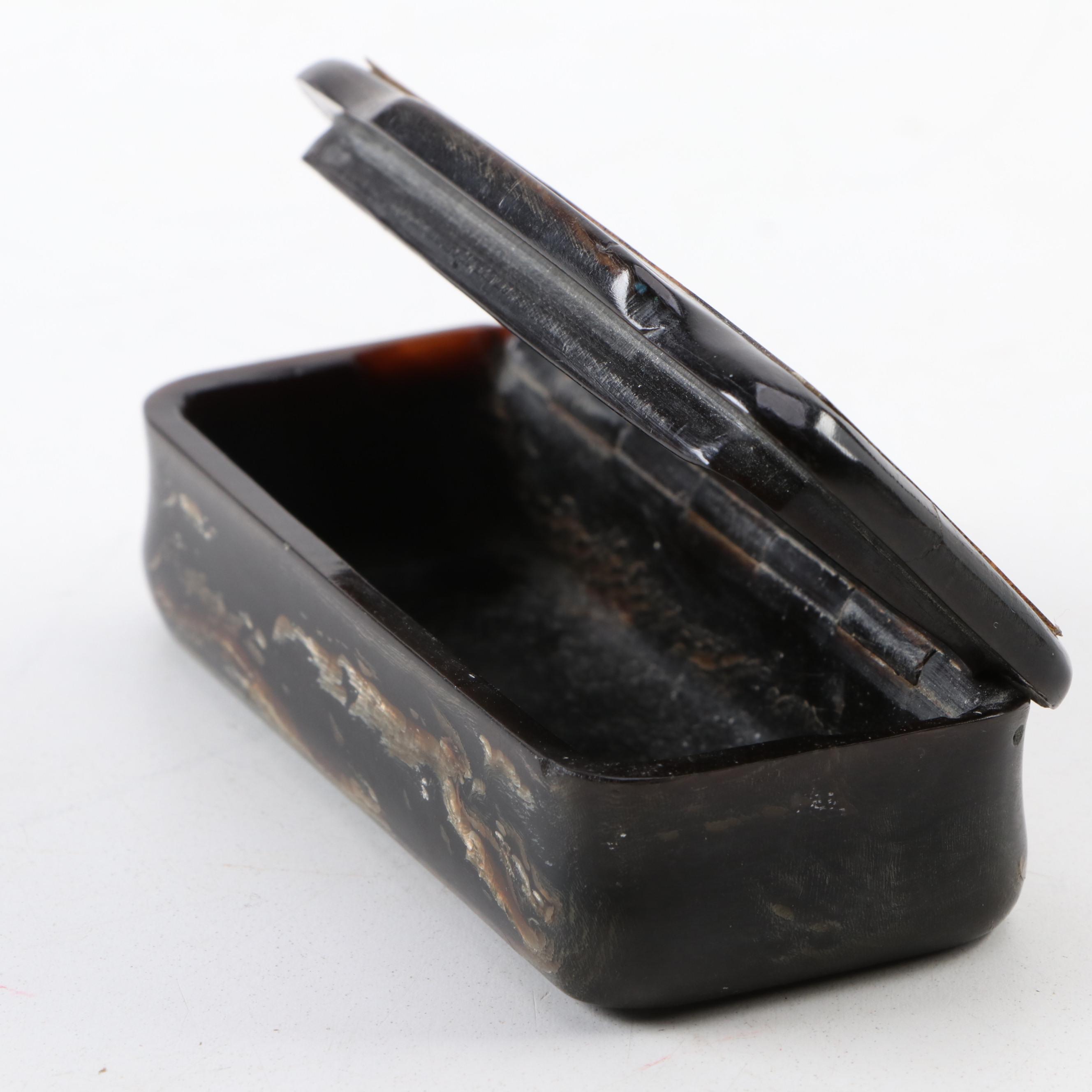 Carved Horn and Tortoiseshell Snuff Box, 19th Century