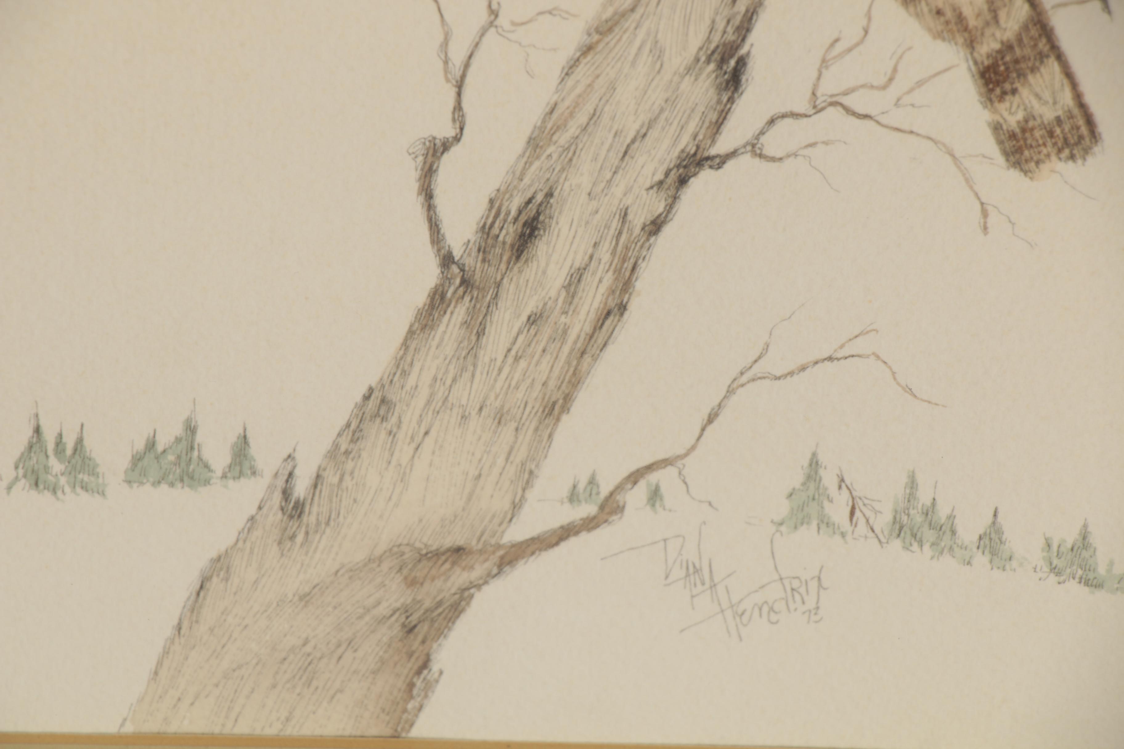 Diana Hendrix Ink and Watercolor Drawing of Owl, 1973