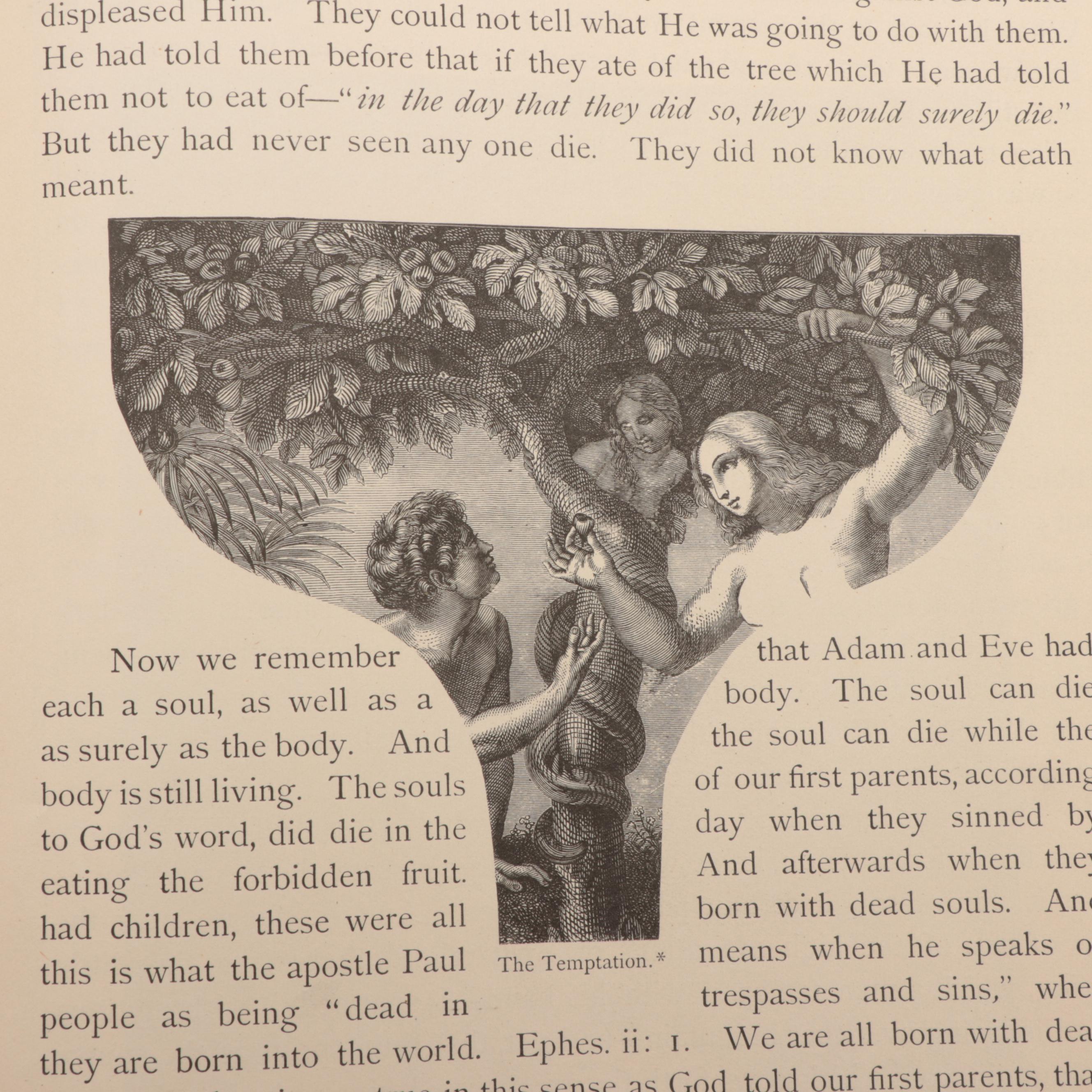"The Life of Jesus Christ for the Young" by Rev. Richard Newton, 1880