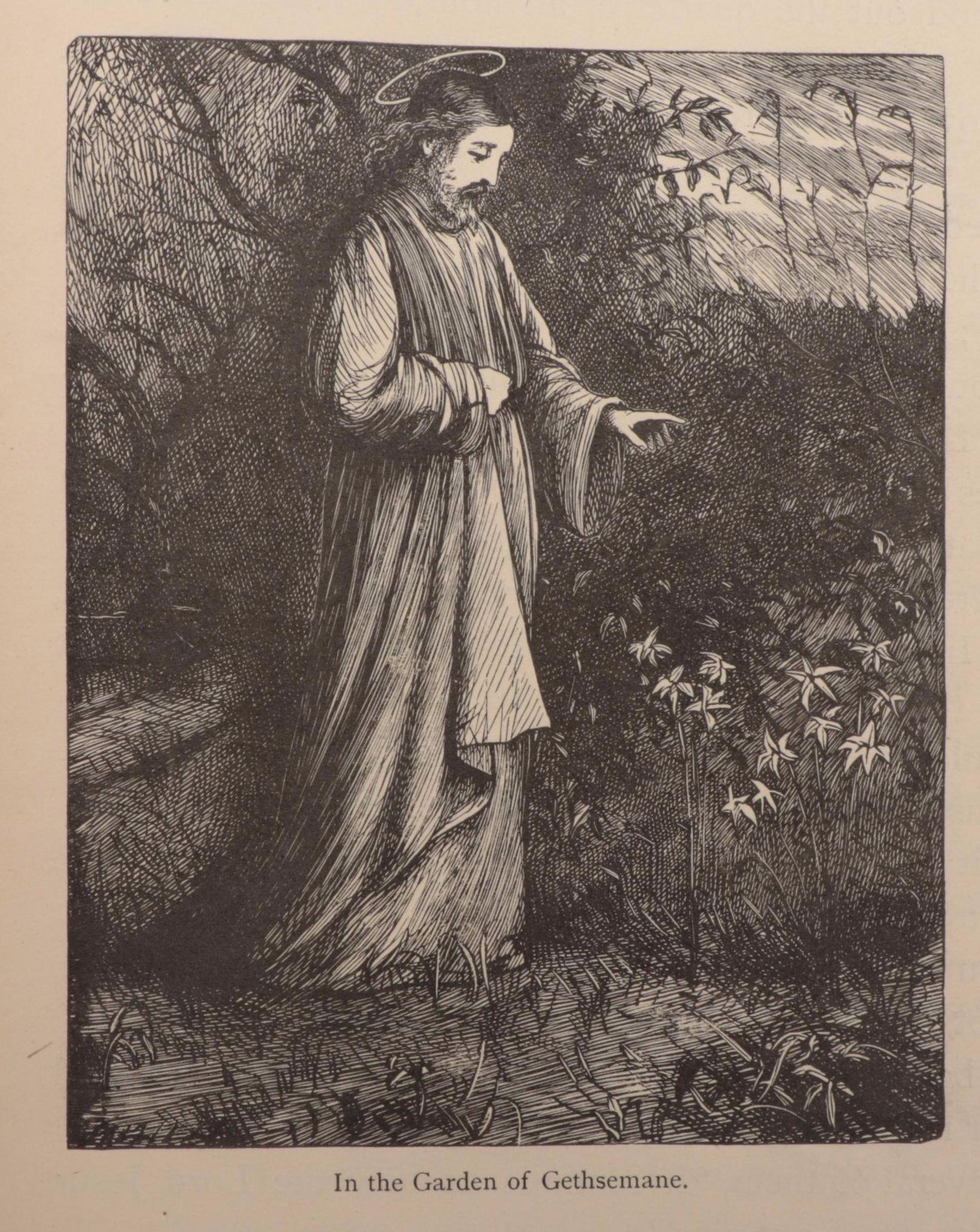 "The Life of Jesus Christ for the Young" by Rev. Richard Newton, 1880