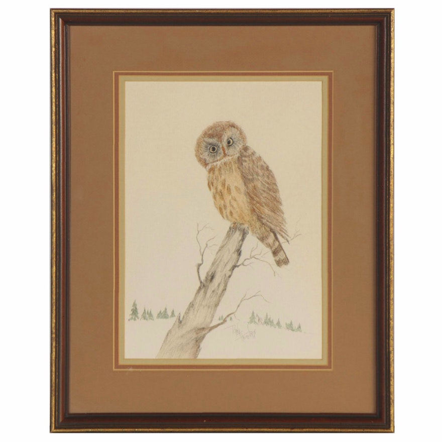 Diana Hendrix Ink and Watercolor Drawing of Owl, 1973