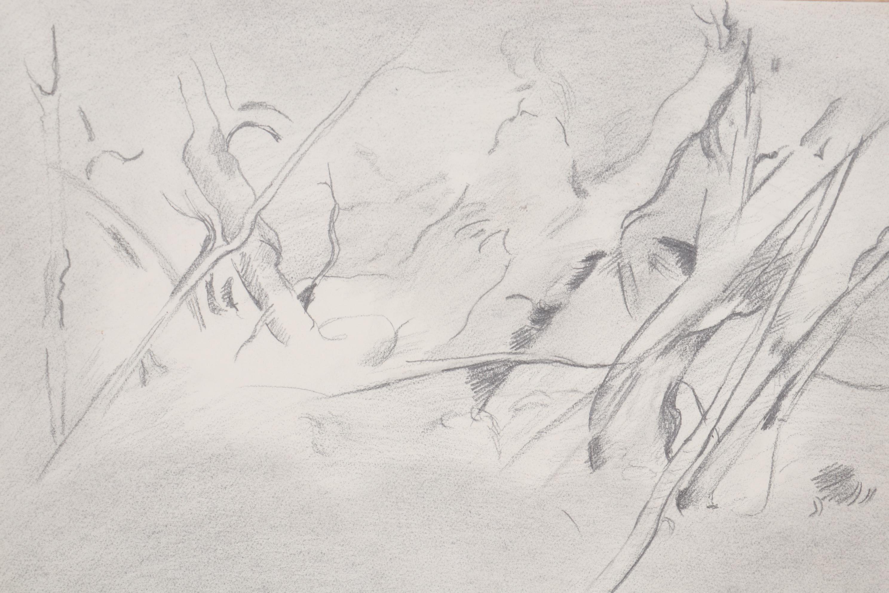 Abstract Landscape Graphite Drawings, Late 20th Century