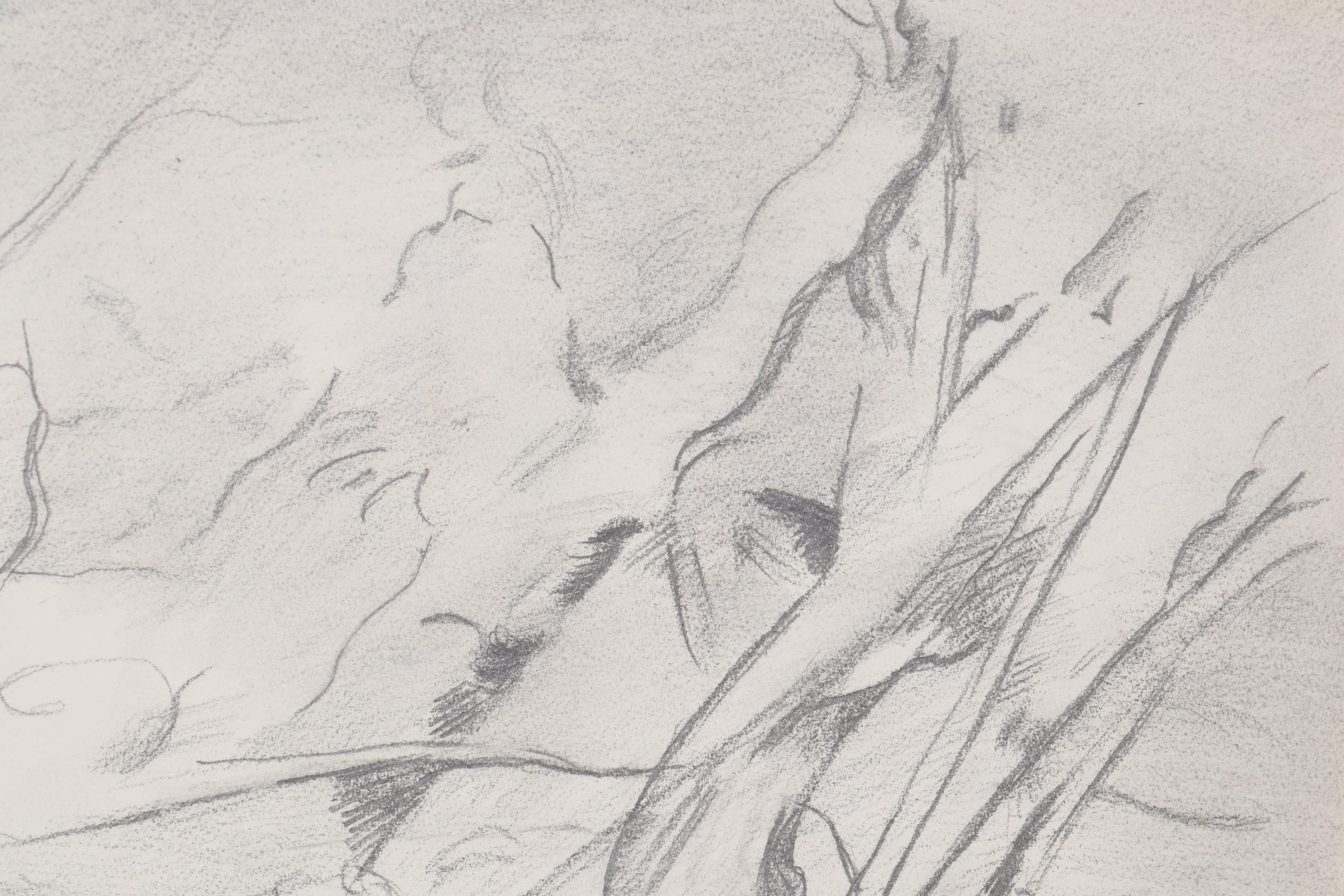 Abstract Landscape Graphite Drawings, Late 20th Century