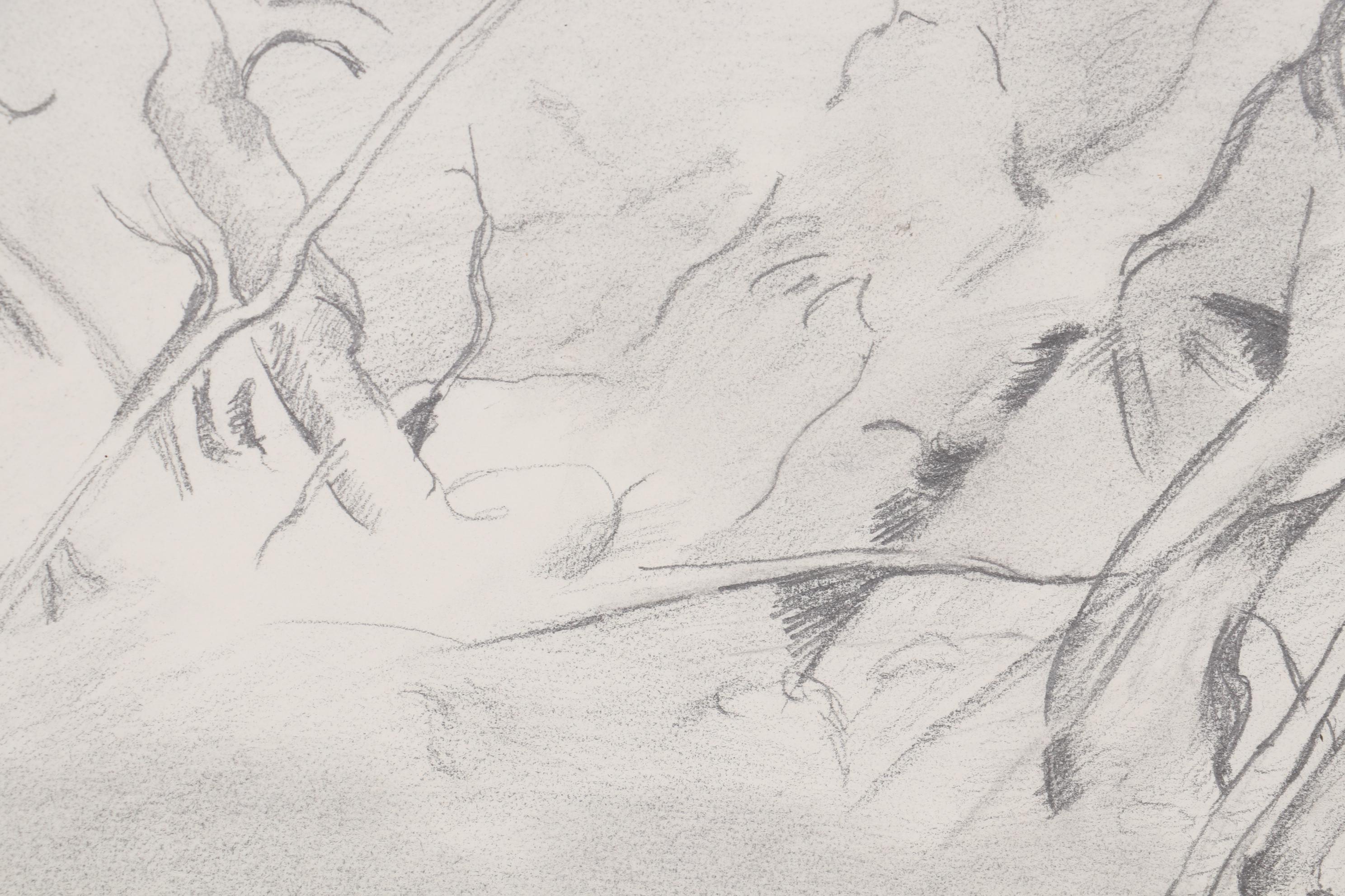 Abstract Landscape Graphite Drawings, Late 20th Century