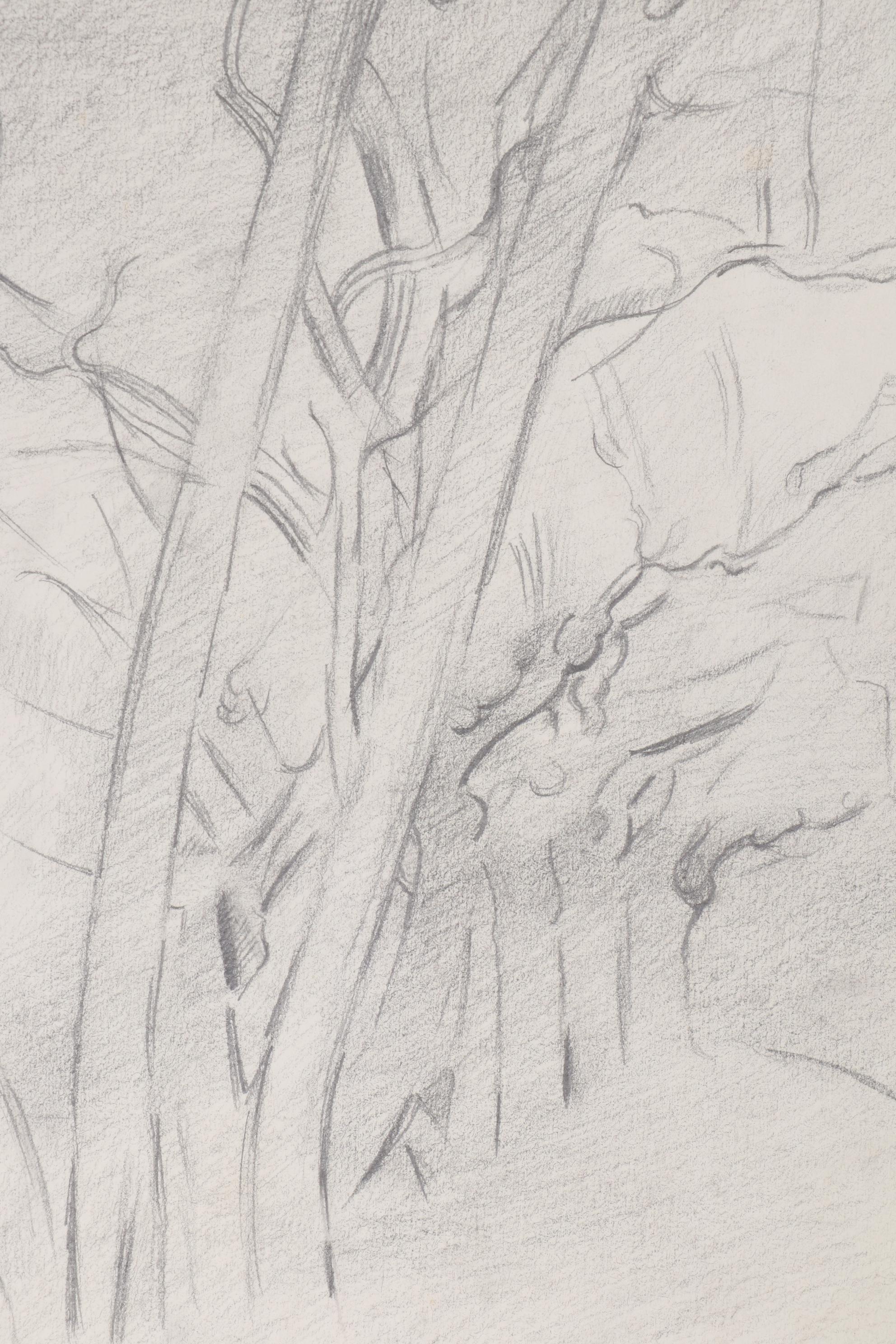 Abstract Landscape Graphite Drawings, Late 20th Century