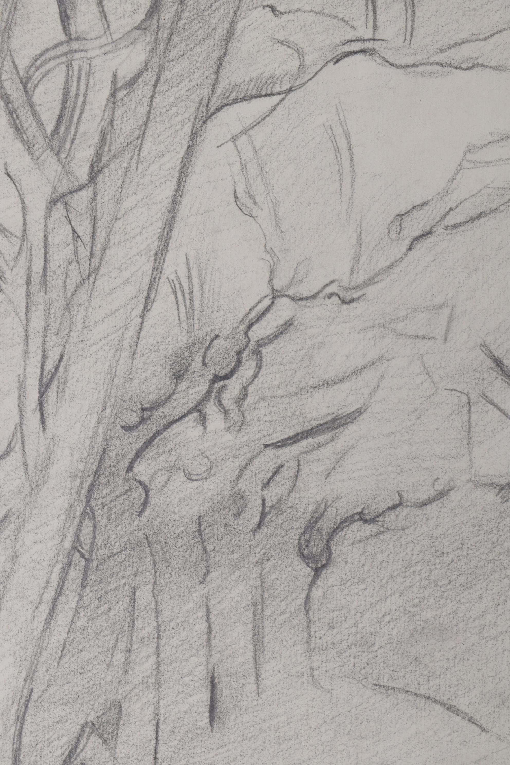 Abstract Landscape Graphite Drawings, Late 20th Century