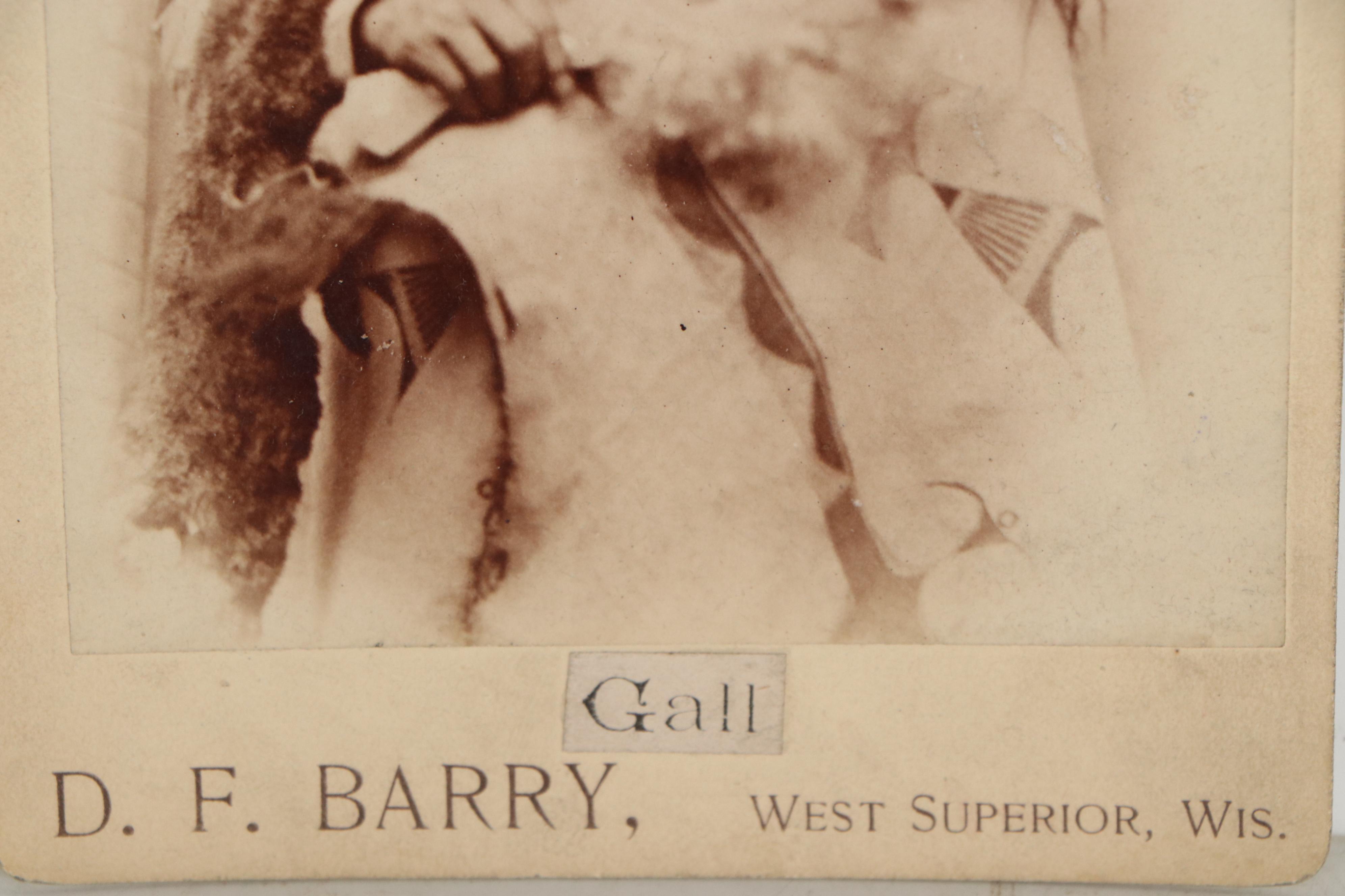 David Frances Barry Photograph of War Chief Gall of the Hunkpapa, 19th Century
