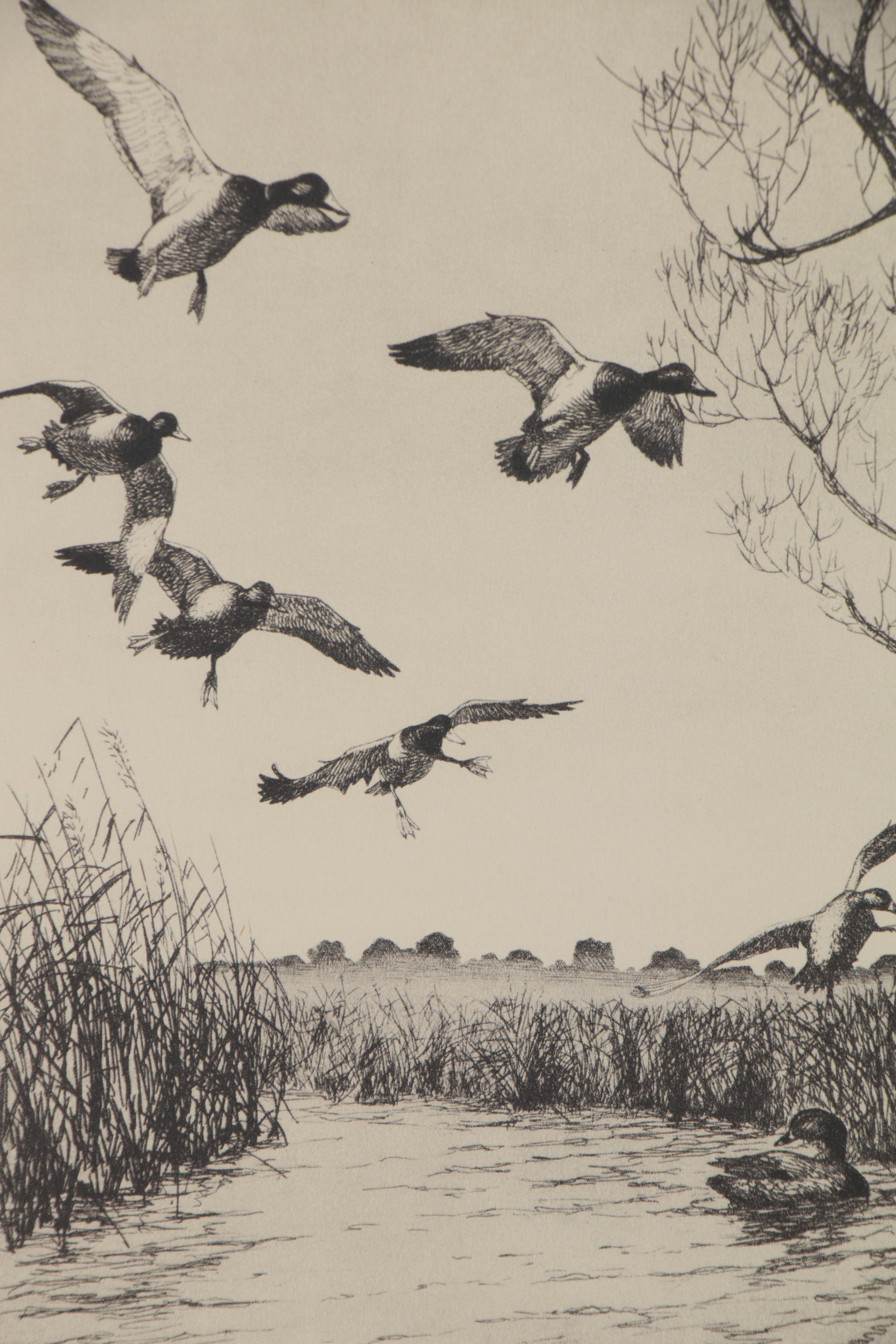 Frank Weston Benson and Richard E. Bishop Duck Etchings, Early 20th Century