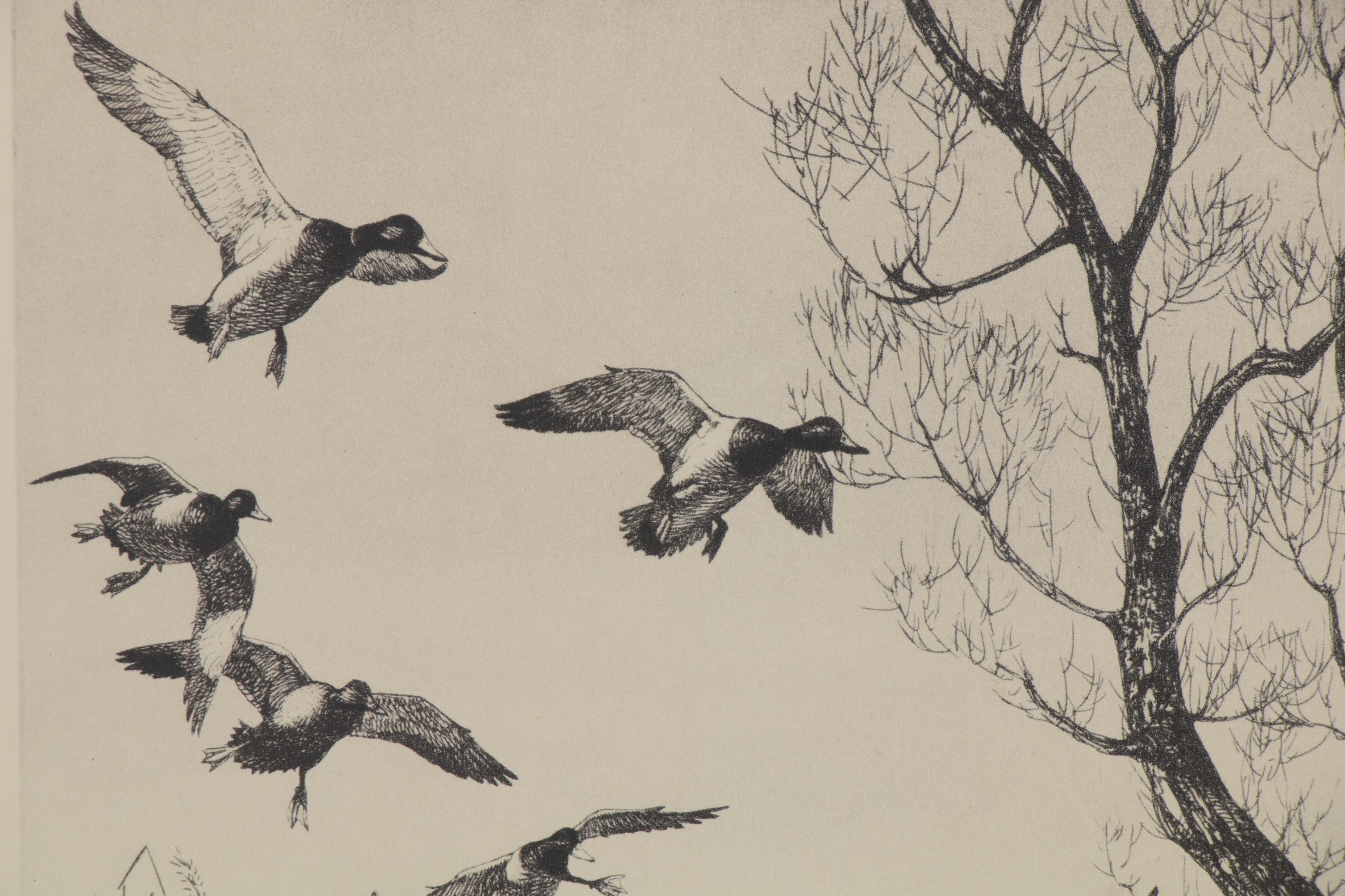 Frank Weston Benson and Richard E. Bishop Duck Etchings, Early 20th Century