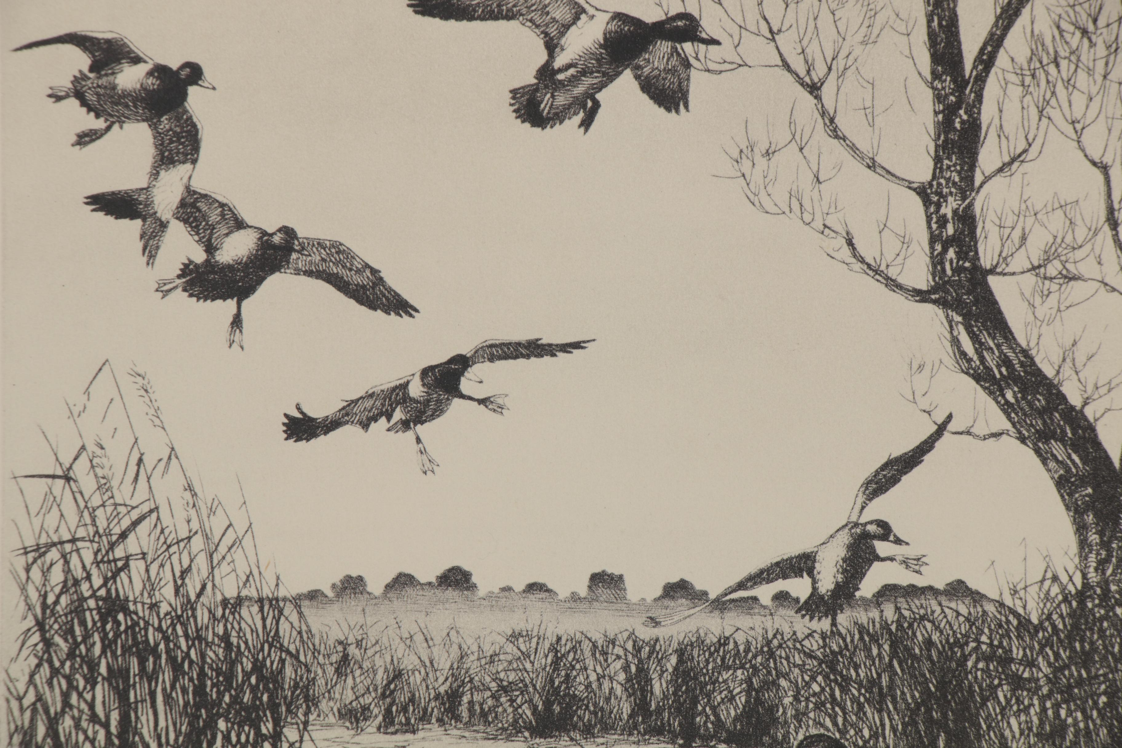 Frank Weston Benson and Richard E. Bishop Duck Etchings, Early 20th Century