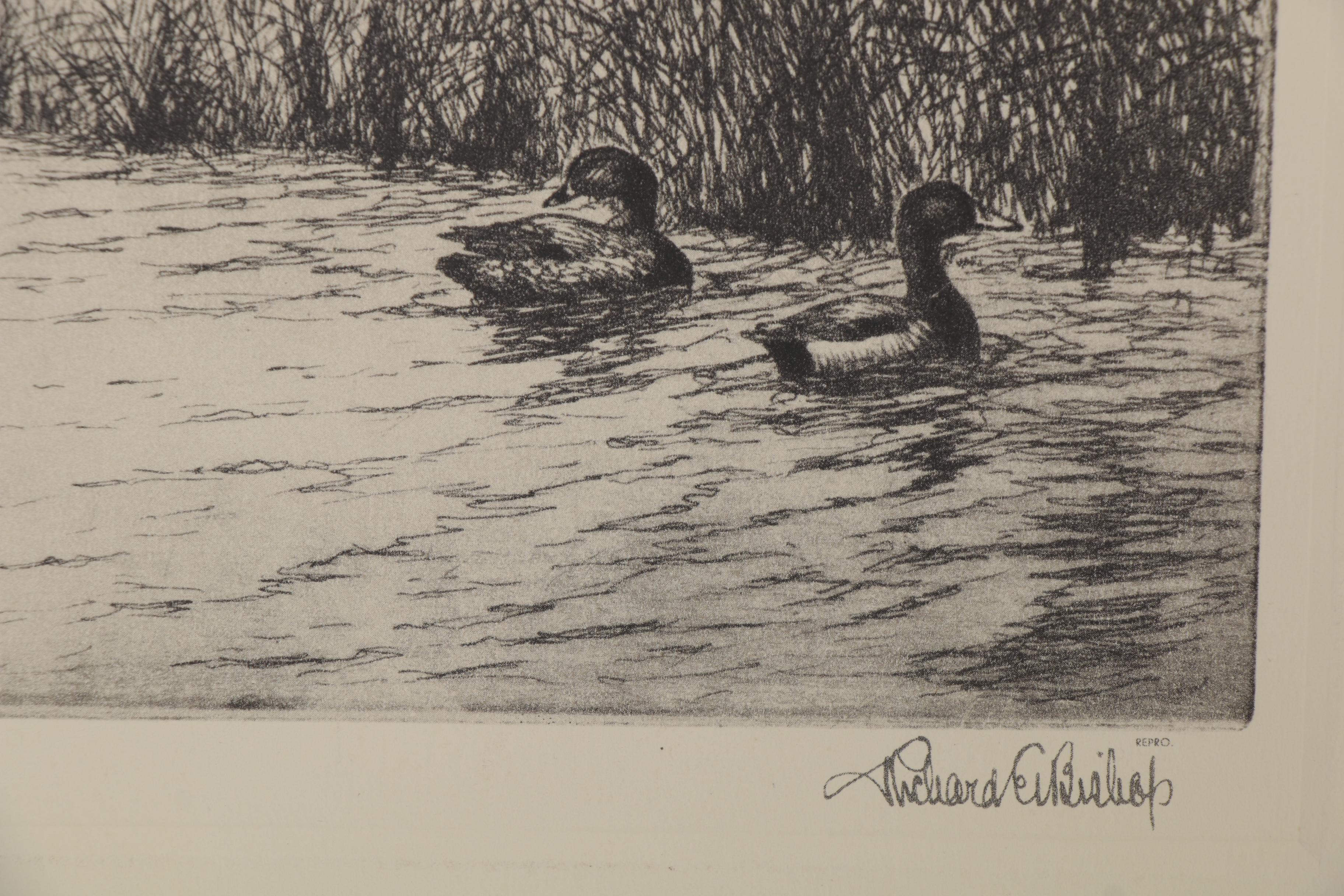 Frank Weston Benson and Richard E. Bishop Duck Etchings, Early 20th Century