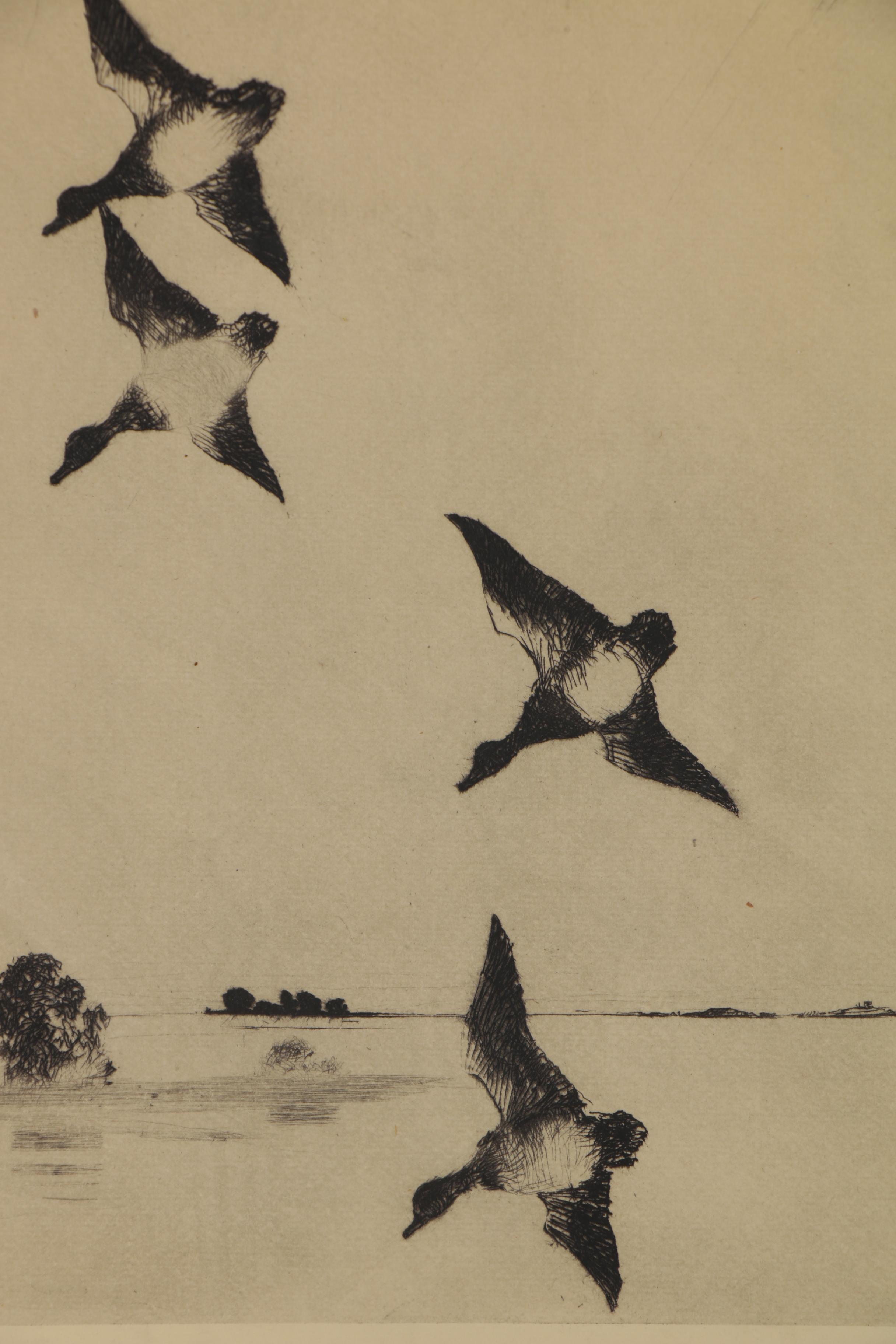 Frank Weston Benson and Richard E. Bishop Duck Etchings, Early 20th Century