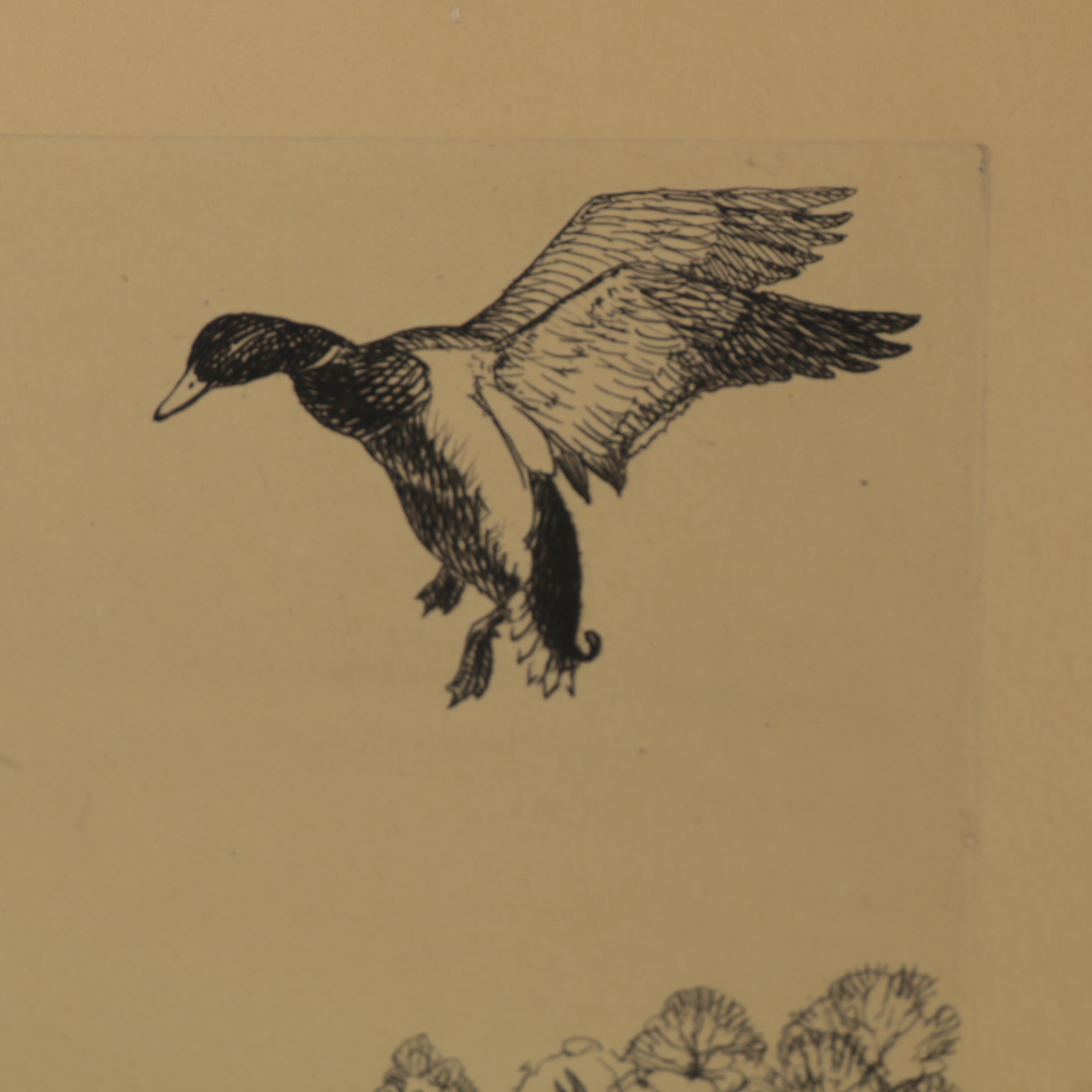 Frank Weston Benson and Richard E. Bishop Duck Etchings, Early 20th Century