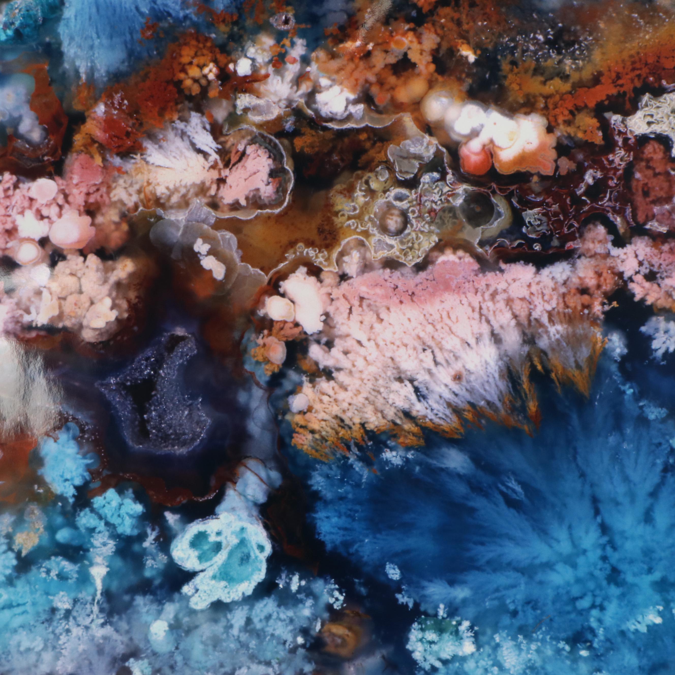 Dr. Giraud Foster and Norman Barker Digital Photograph "FLOWERING TREE"