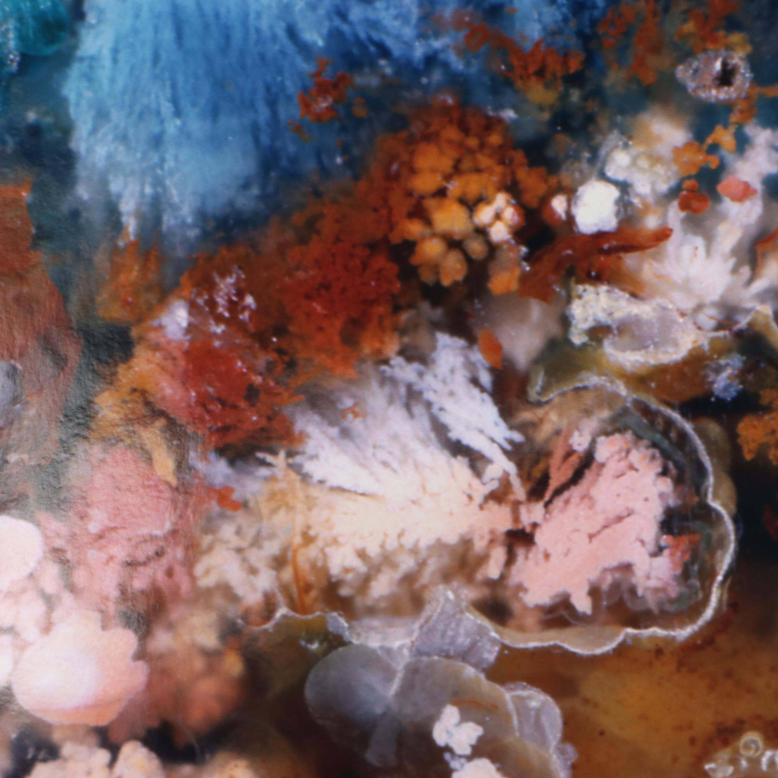 Dr. Giraud Foster and Norman Barker Digital Photograph "FLOWERING TREE"