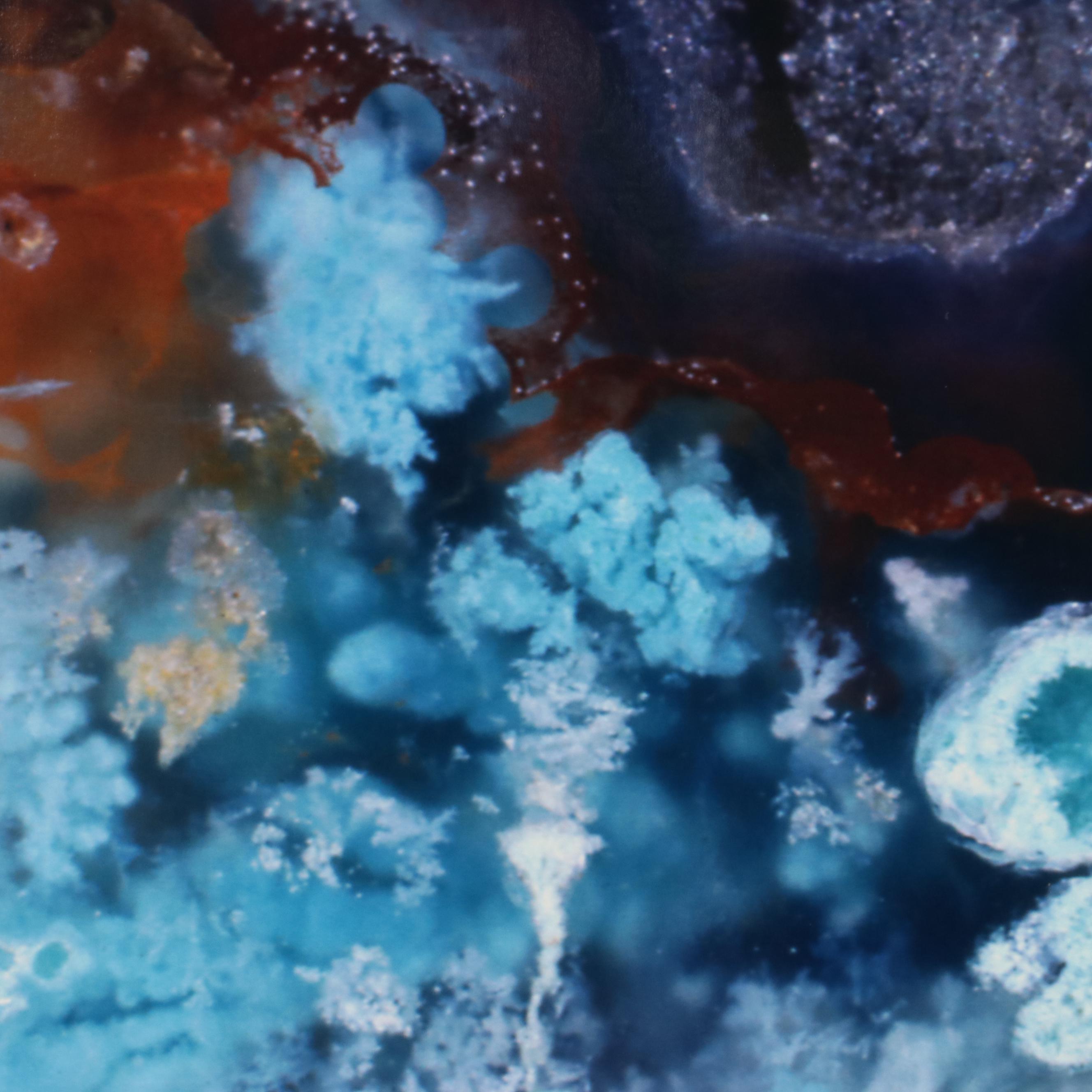 Dr. Giraud Foster and Norman Barker Digital Photograph "FLOWERING TREE"