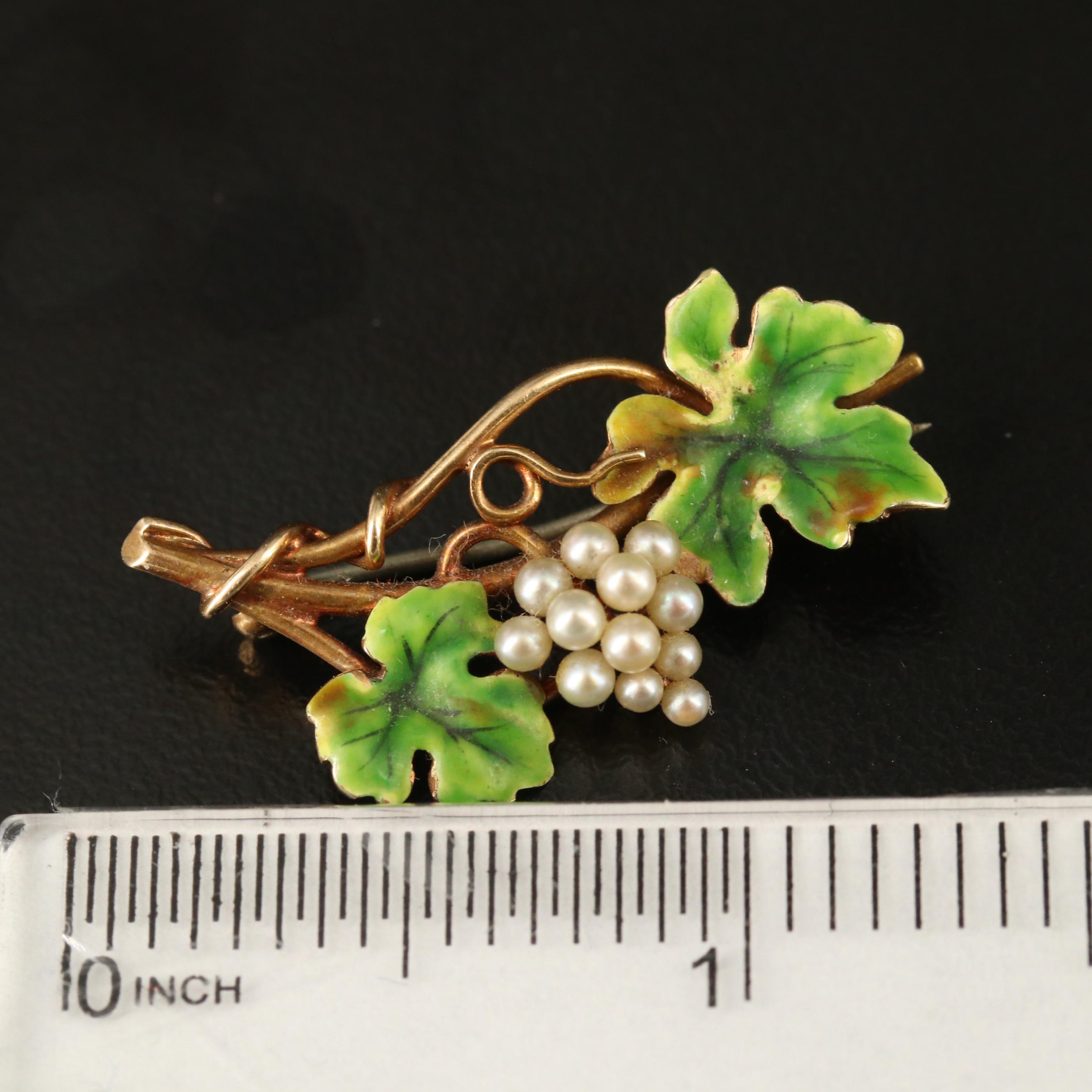 Art Nouveau Heintz Brothers 14K Pearl and Enamel Grapevine Brooch