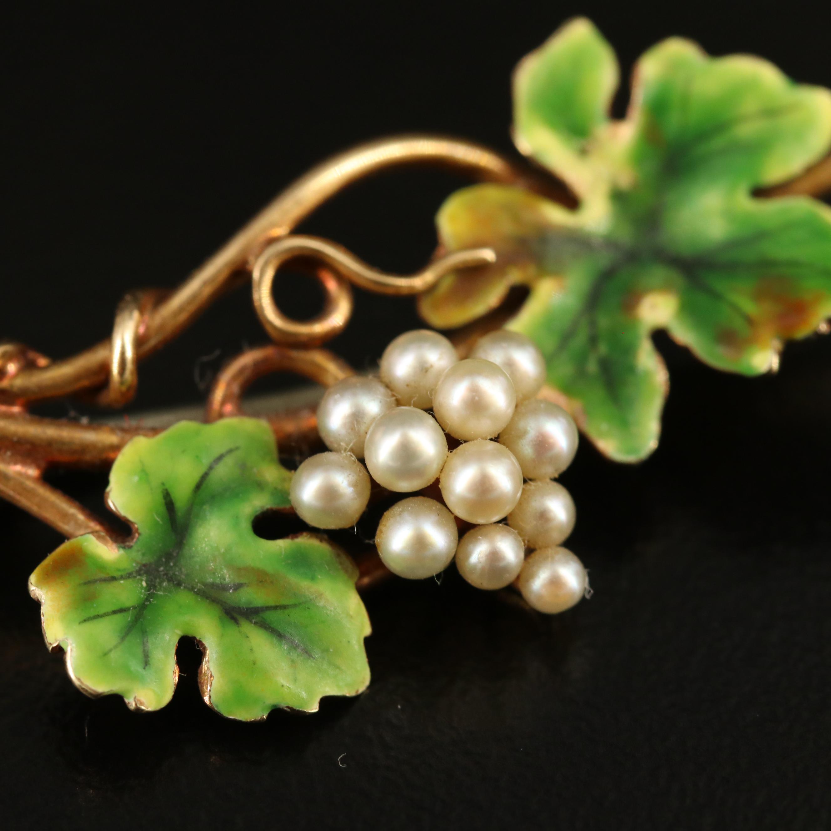 Art Nouveau Heintz Brothers 14K Pearl and Enamel Grapevine Brooch