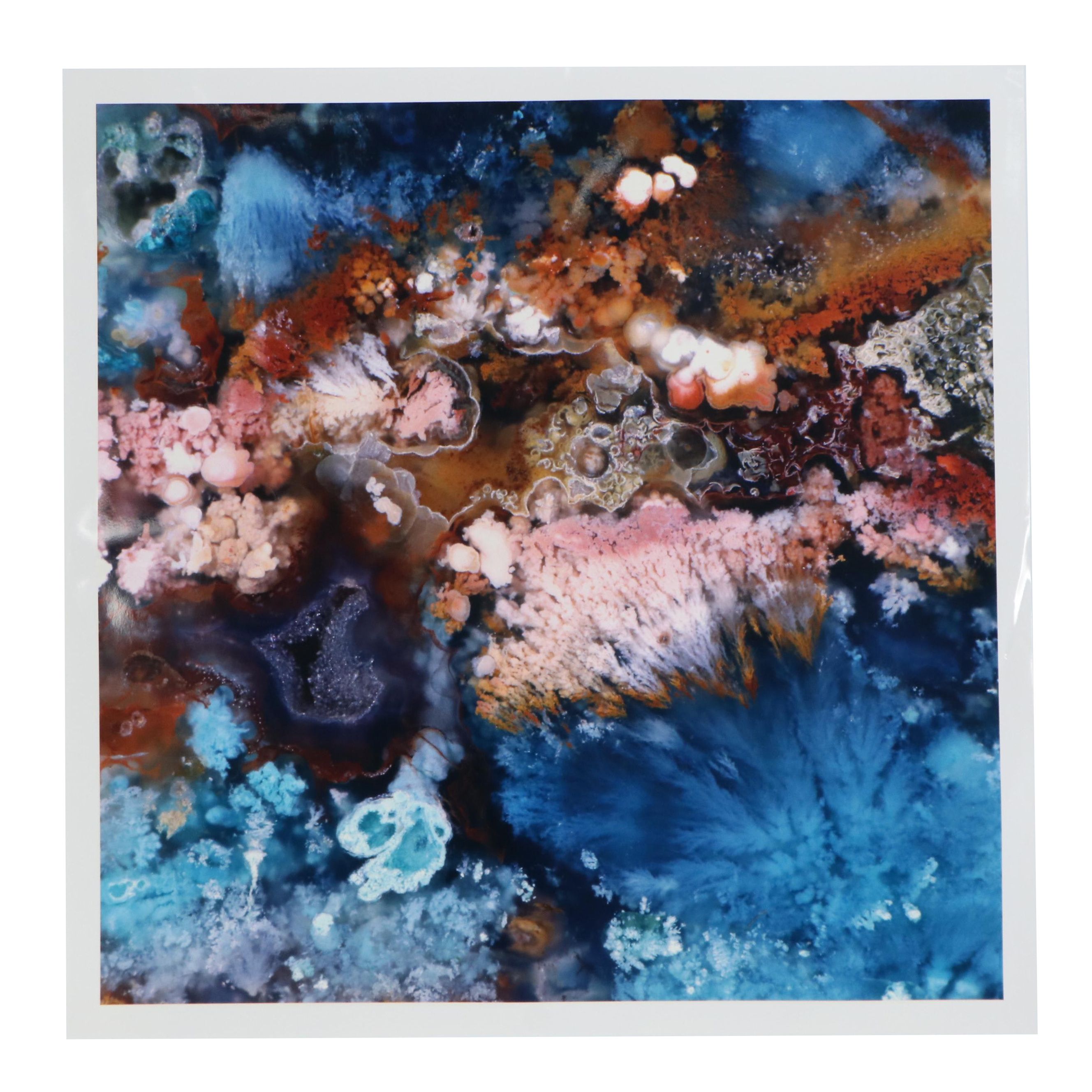 Dr. Giraud Foster and Norman Barker Digital Photograph "FLOWERING TREE"