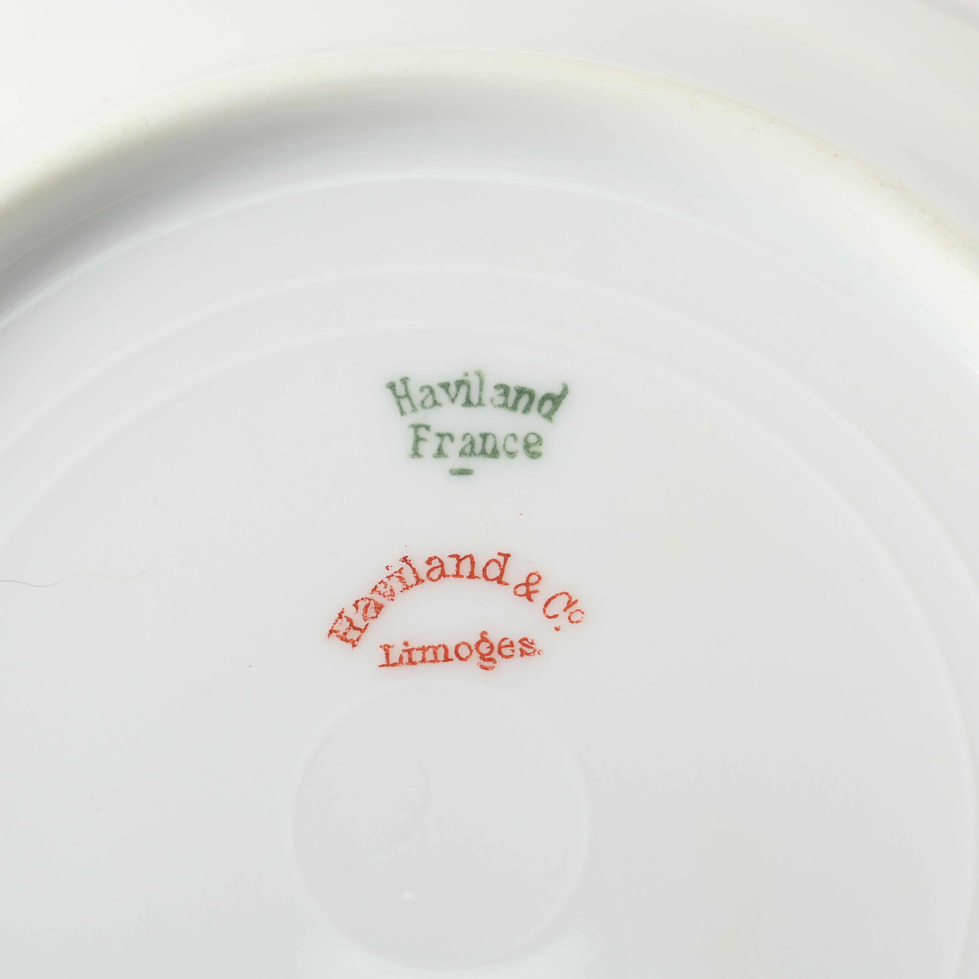 Haviland & Co. "Silver Anniversary" Porcelain Dinnerware