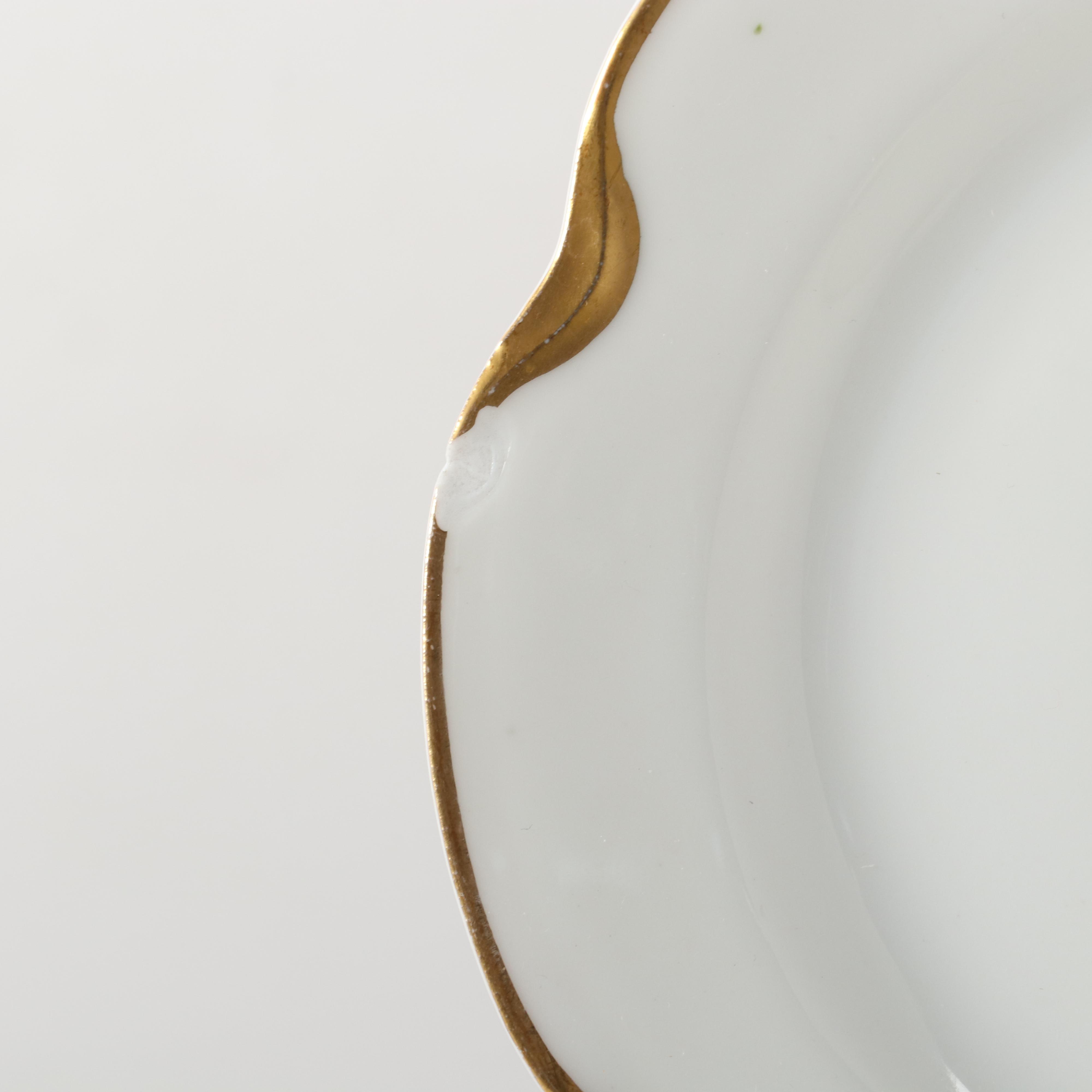 Haviland & Co. "Silver Anniversary" Porcelain Dinnerware