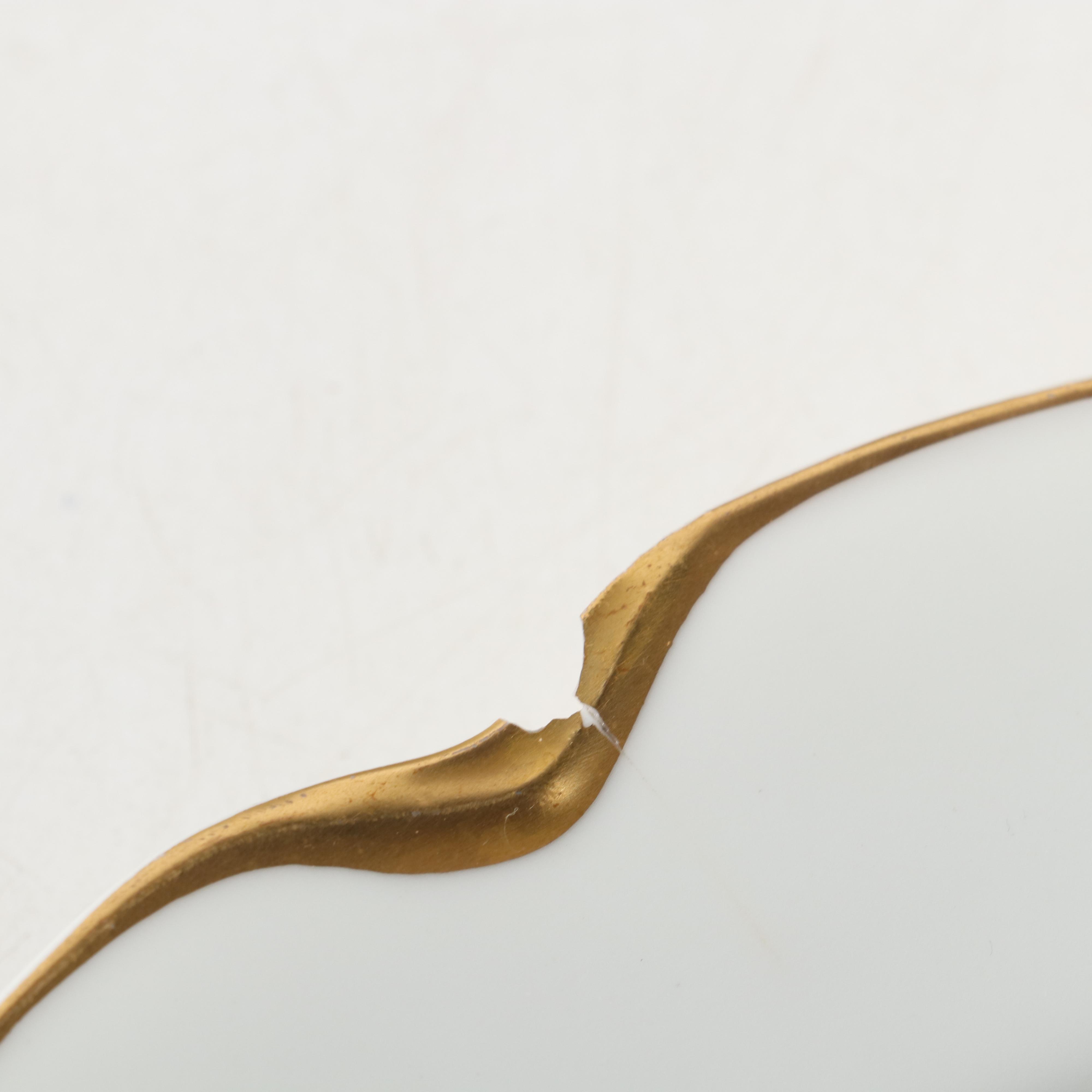 Haviland & Co. "Silver Anniversary" Porcelain Dinnerware