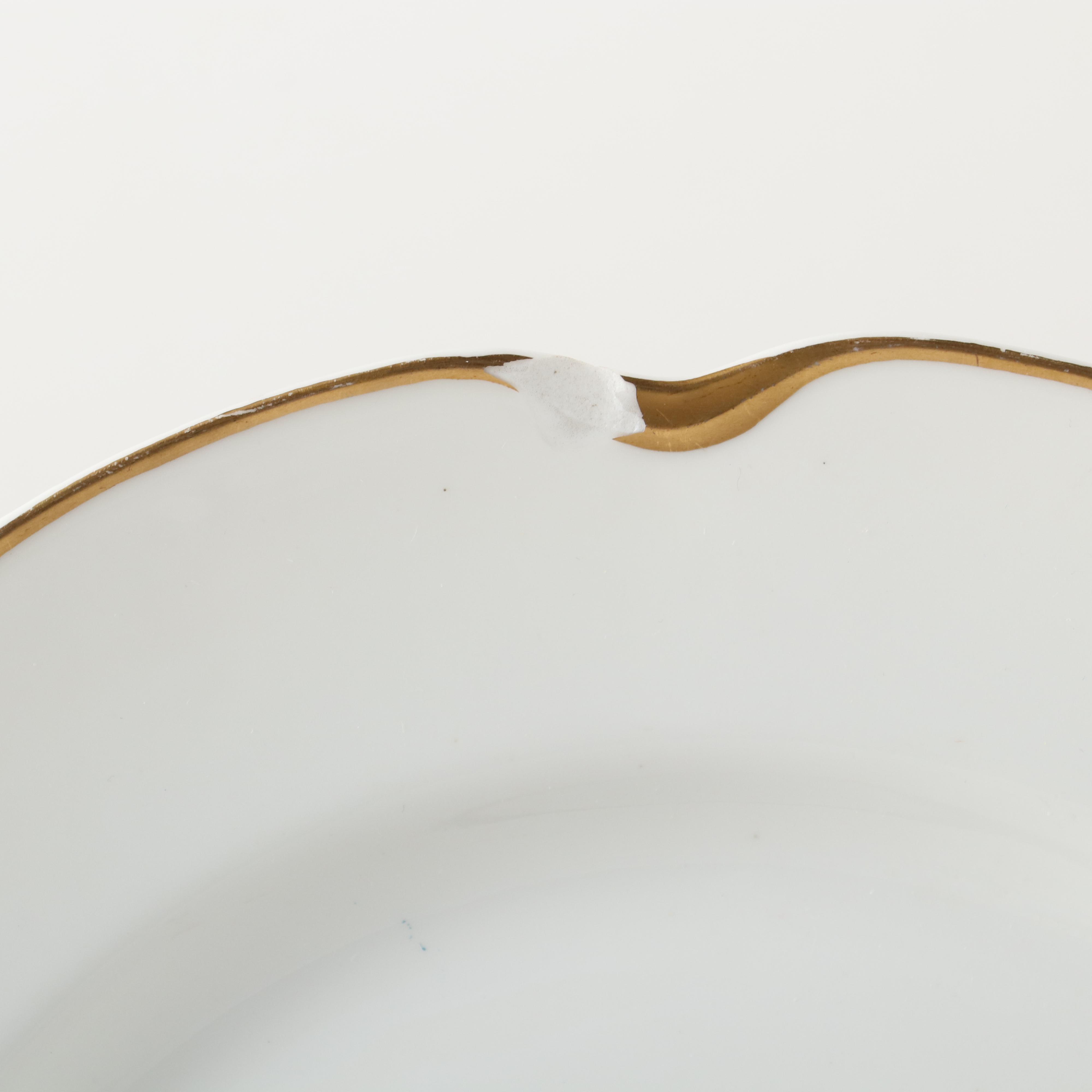 Haviland & Co. "Silver Anniversary" Porcelain Dinnerware