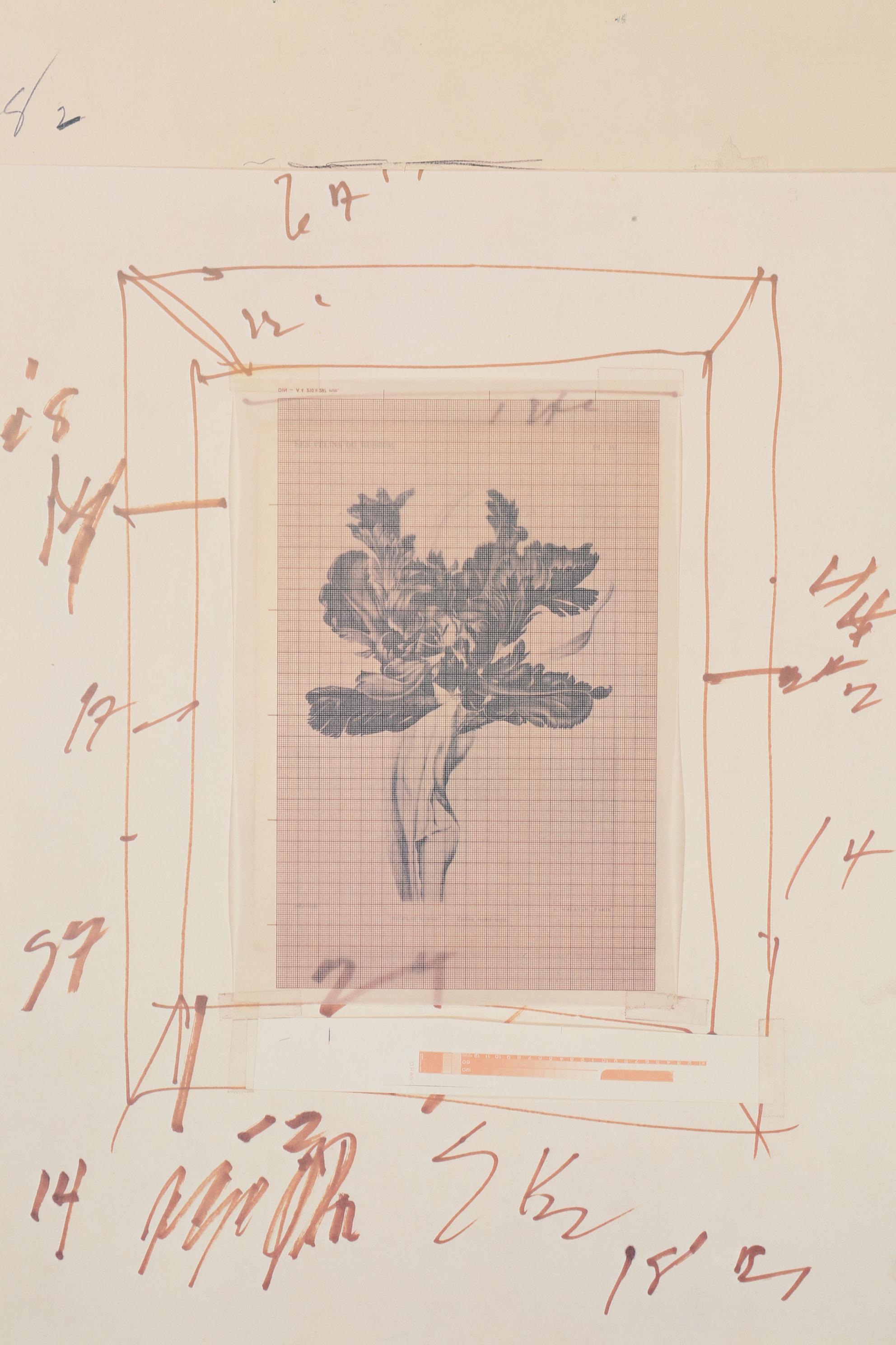 Offset Lithograph Exhibition Poster after Cy Twombly for Whitney Museum, 1979