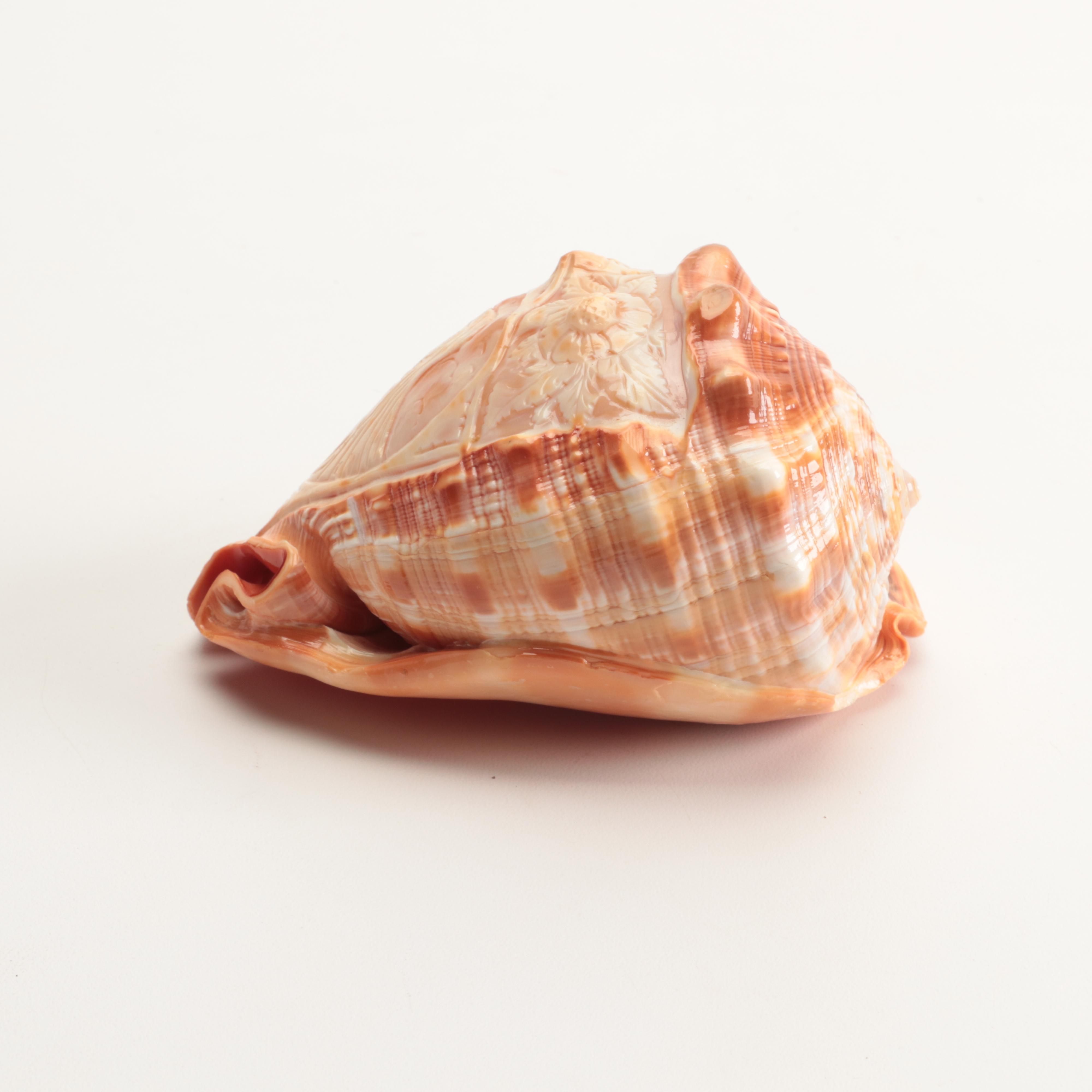 Victorian Neoclassical Lady's Portrait Cameo Carved on Conch Shell