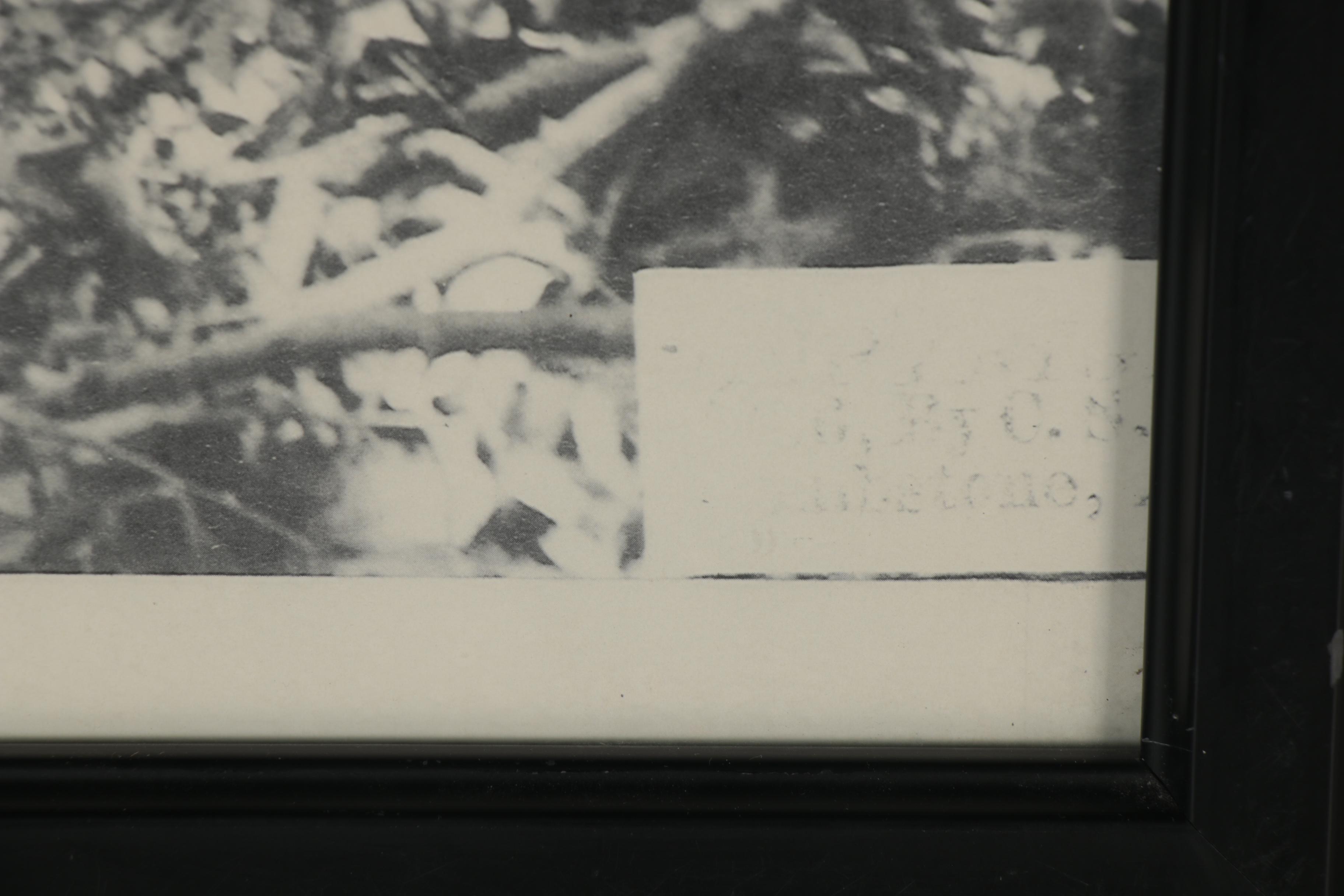 Halftone after Camillus Sidney Fly "Council between General Crook and Geronimo"