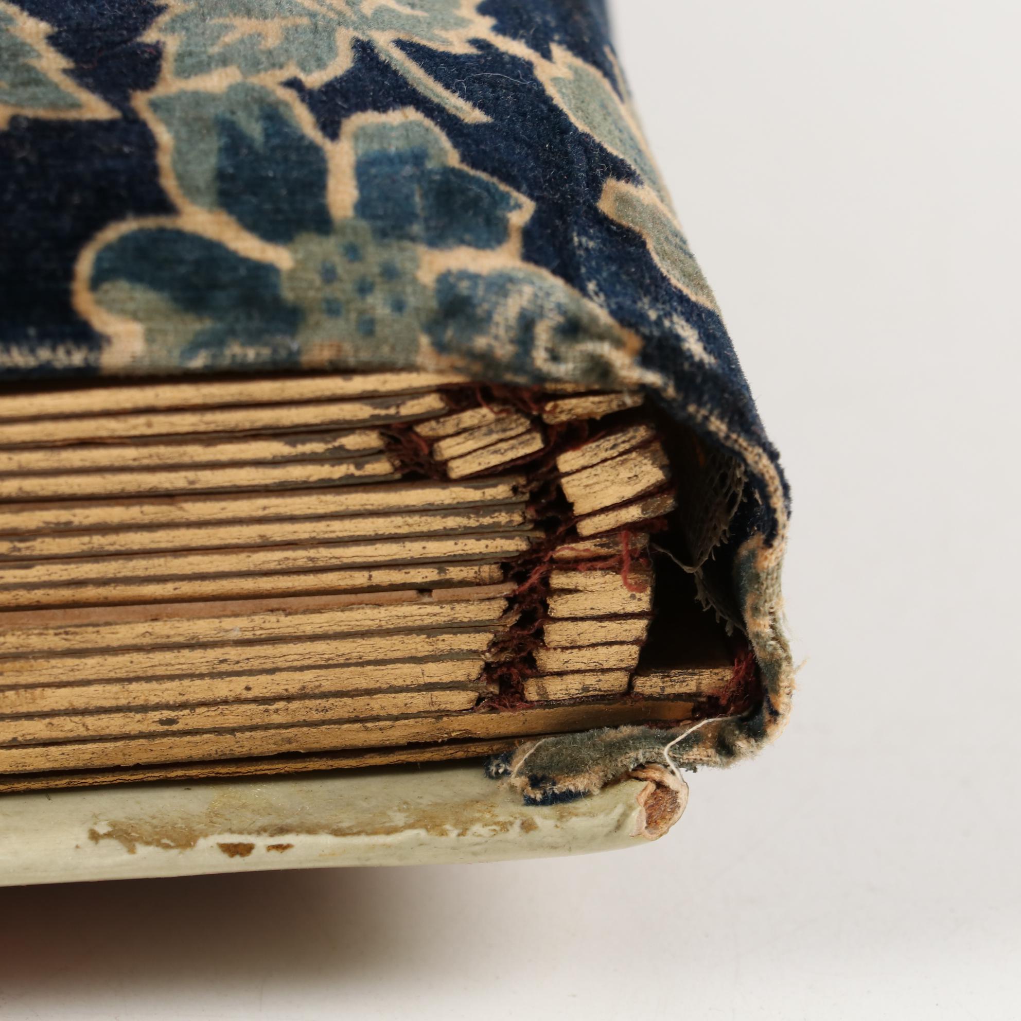 Victorian Photo Albums, Early 20th Century