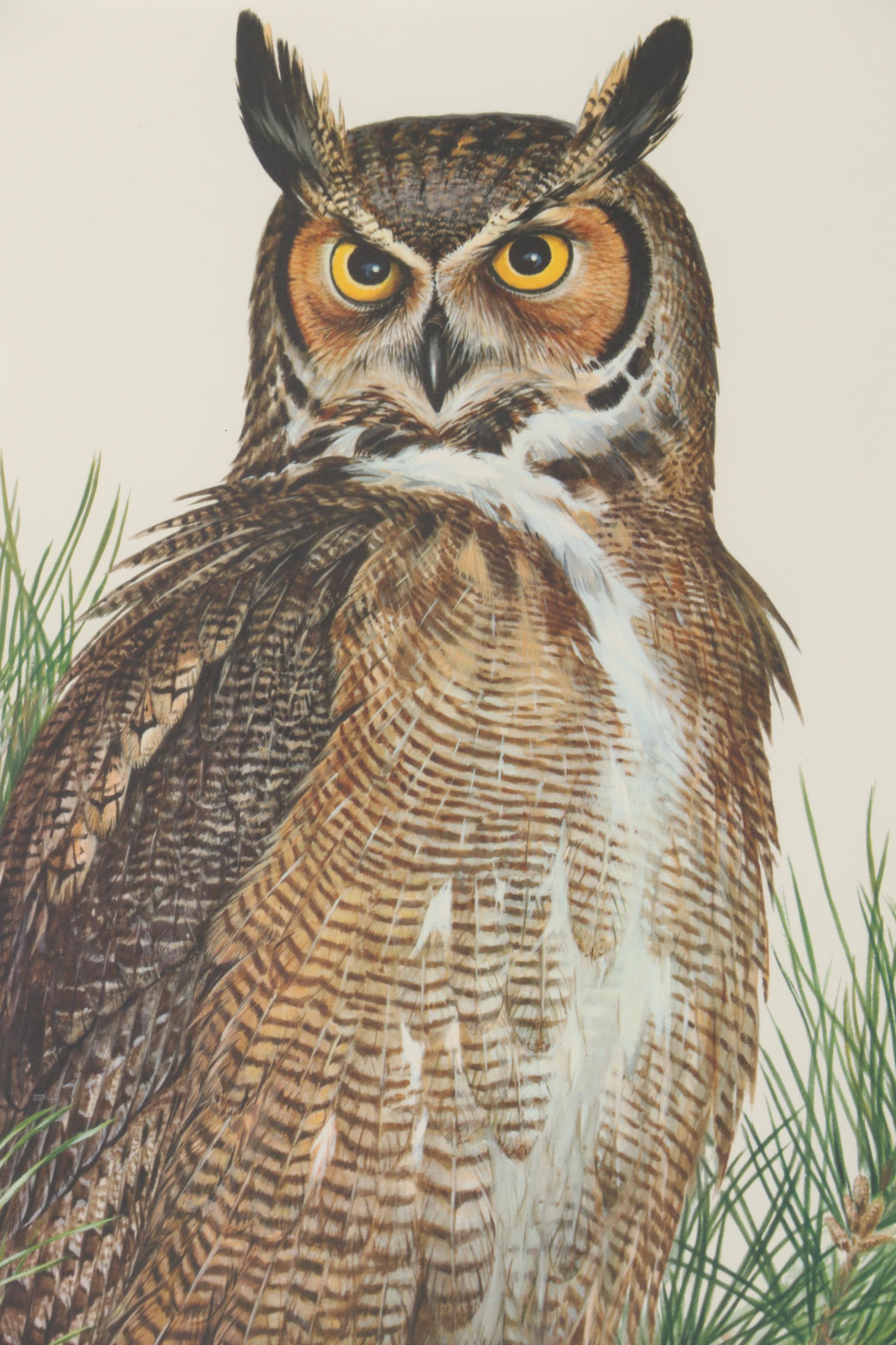 Roger Tory Peterson Offset Lithograph "Great Horned Owl," Late 20th Century