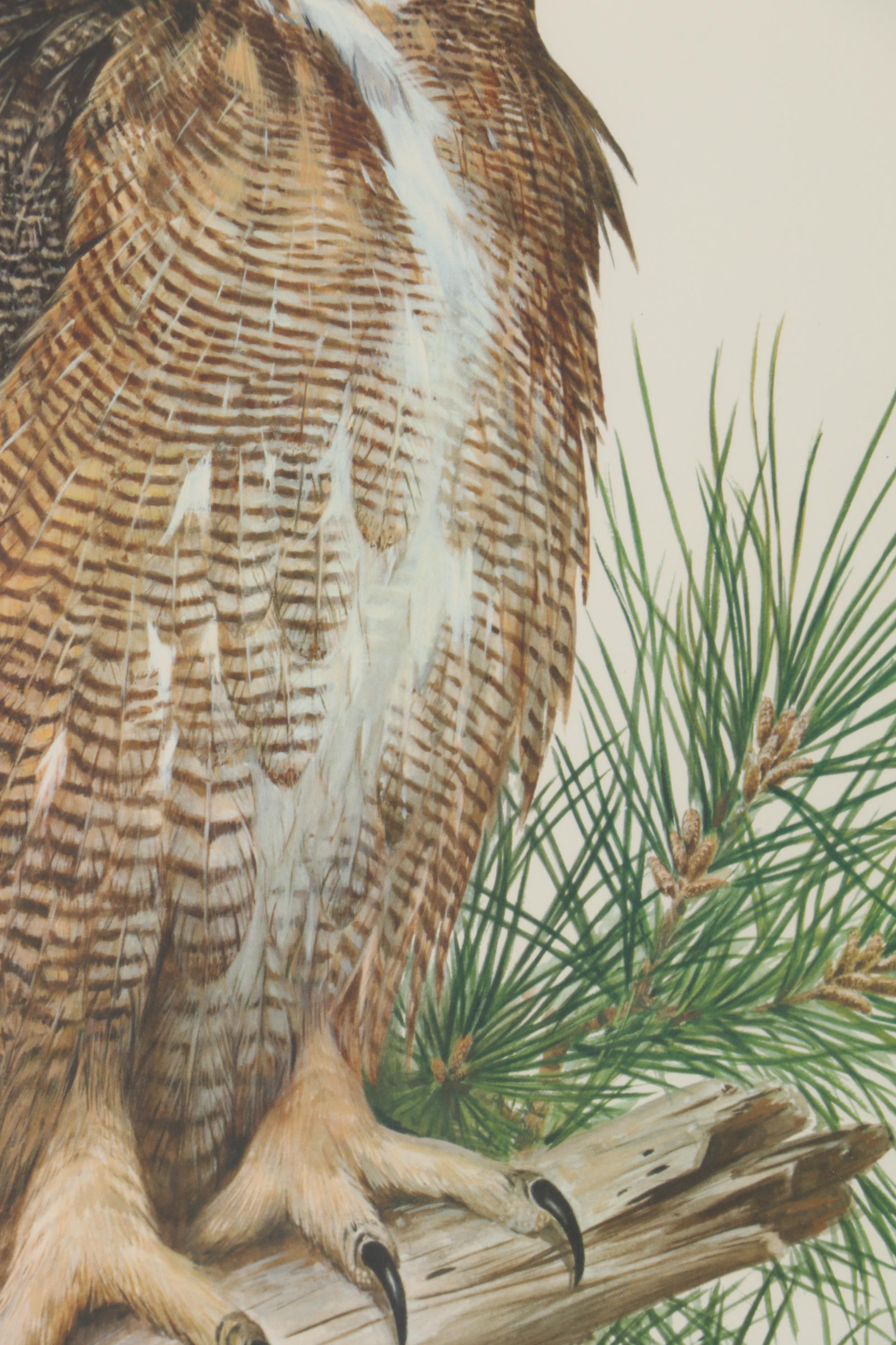 Roger Tory Peterson Offset Lithograph "Great Horned Owl," Late 20th Century