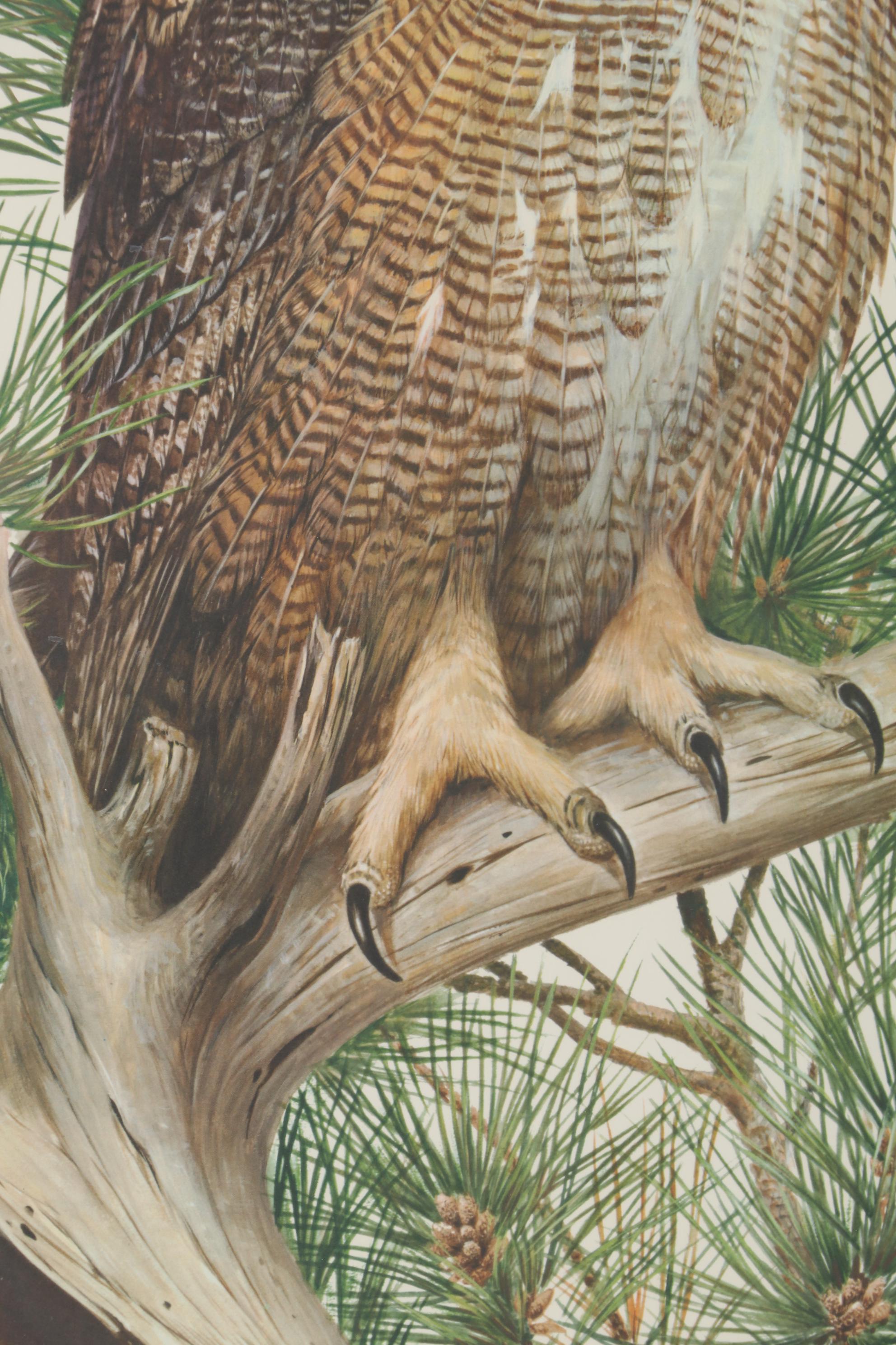 Roger Tory Peterson Offset Lithograph "Great Horned Owl," Late 20th Century