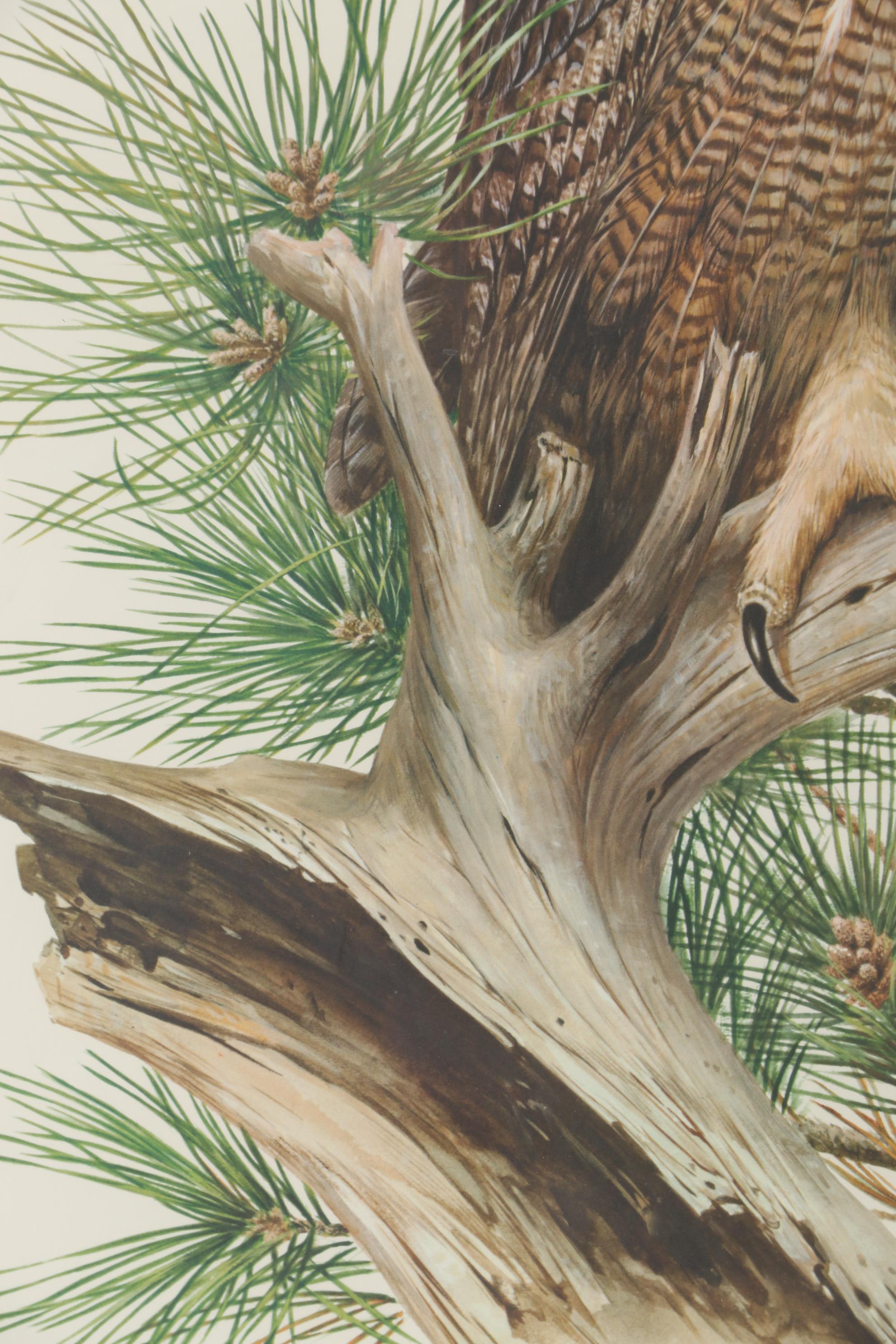 Roger Tory Peterson Offset Lithograph "Great Horned Owl," Late 20th Century