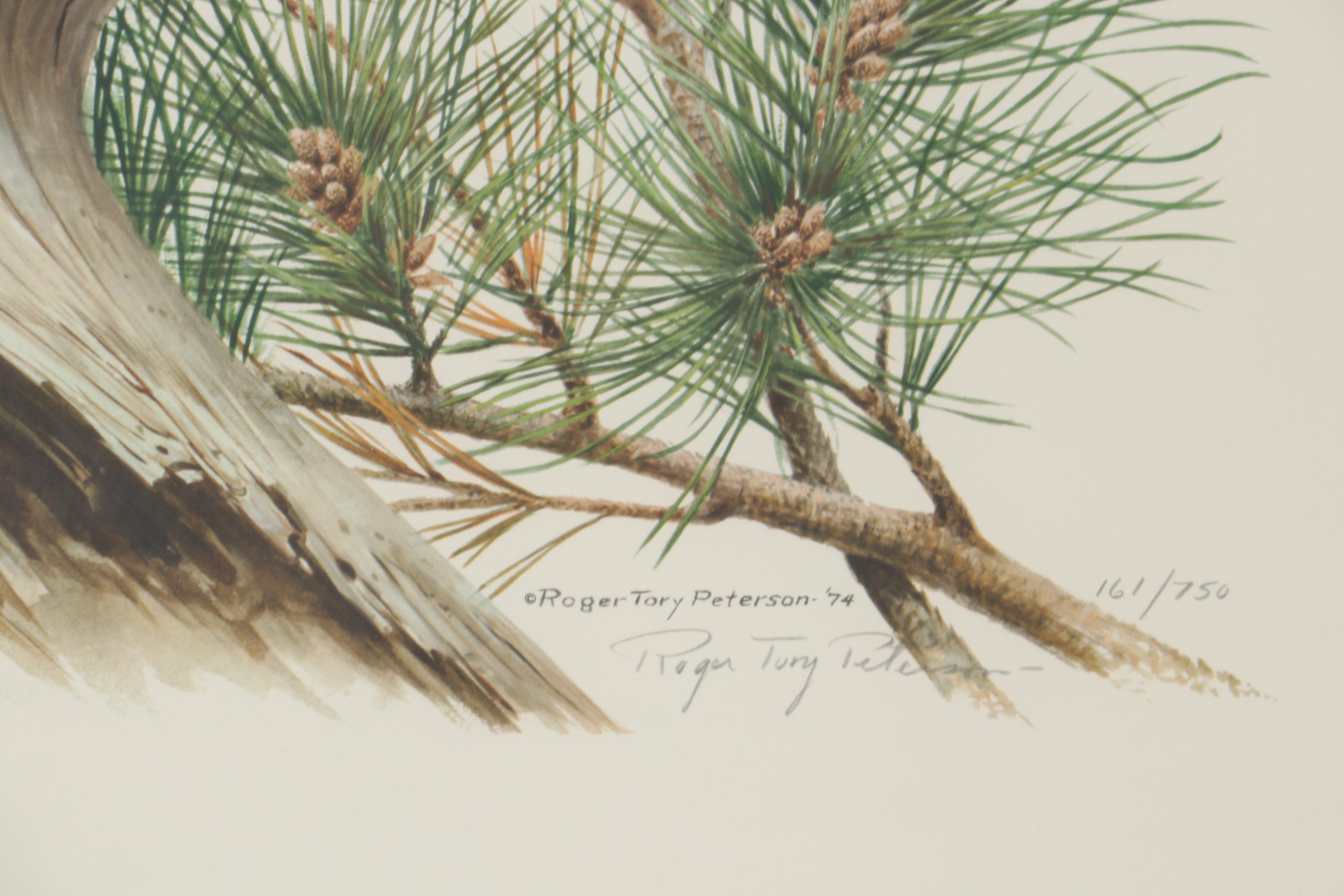 Roger Tory Peterson Offset Lithograph "Great Horned Owl," Late 20th Century