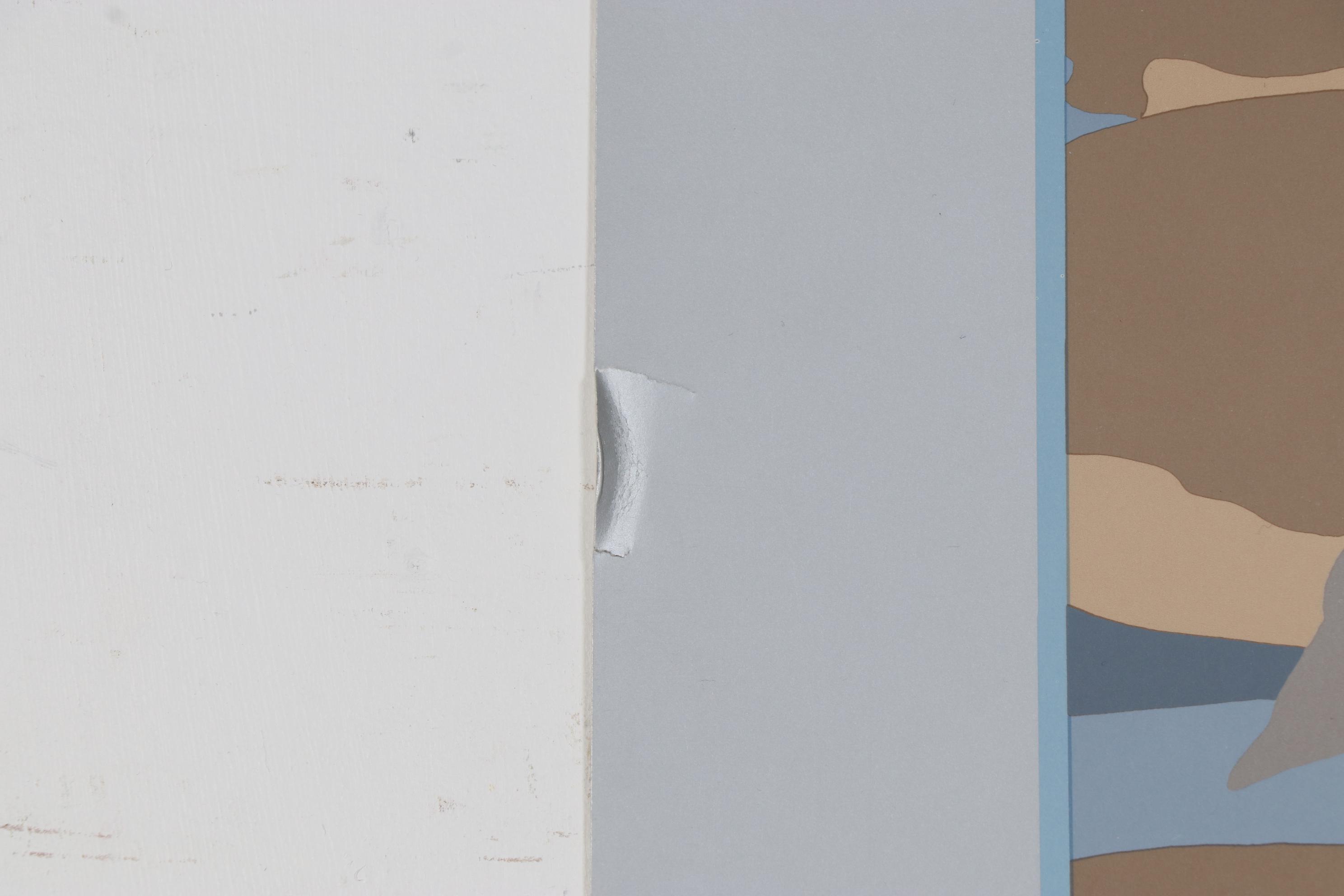 Digital Print Poster after Tom Taylor for the Field Museum of Natural History