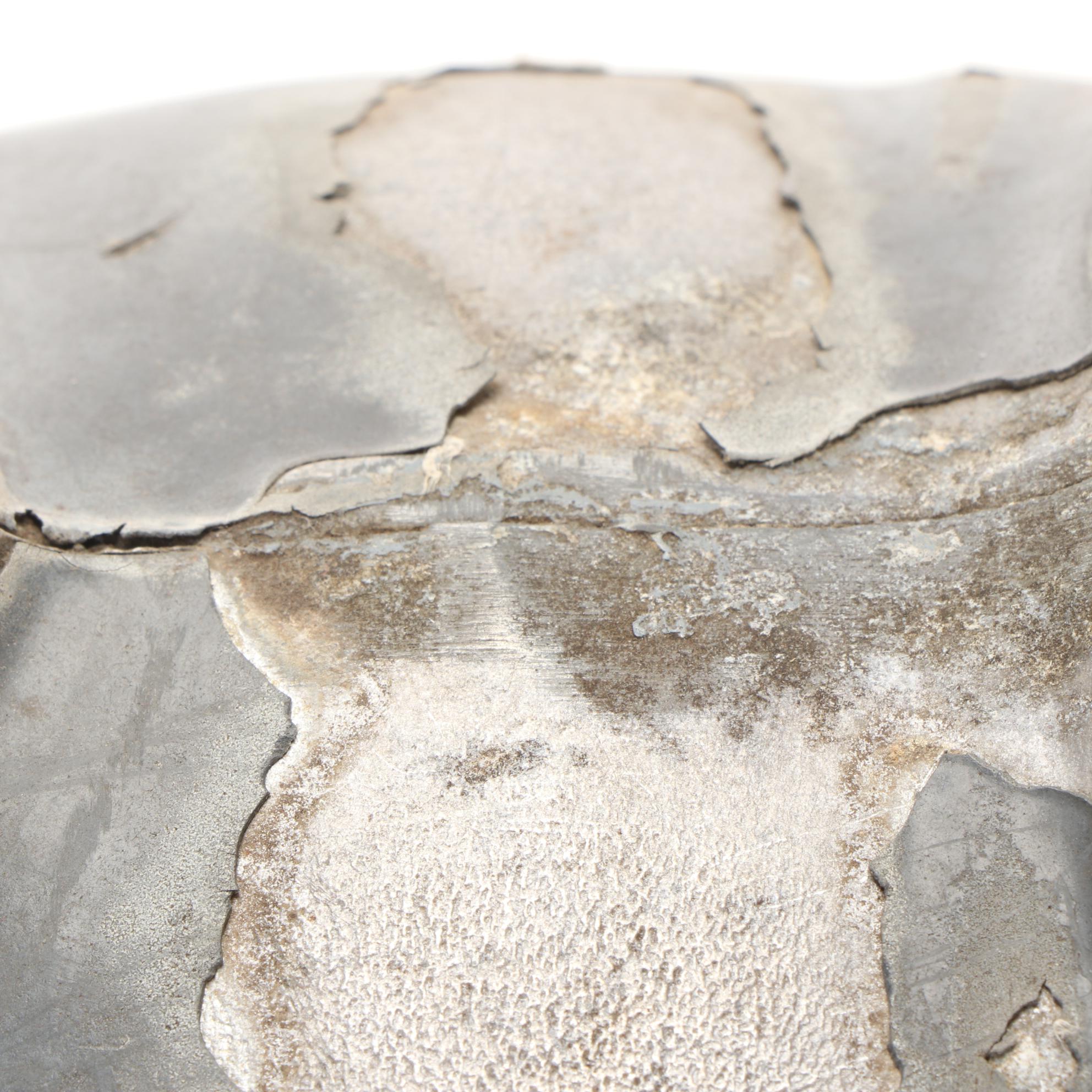 Miracle Equipment Co. Coin-Operated Mechanical Horse , Mid 20th Century