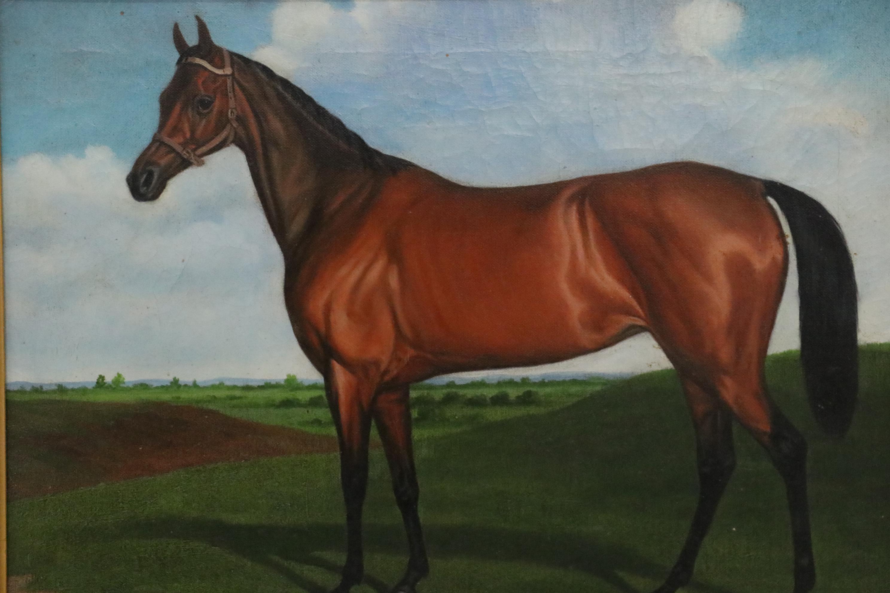 Shipley Equine Oil Painting, Early 20th Century