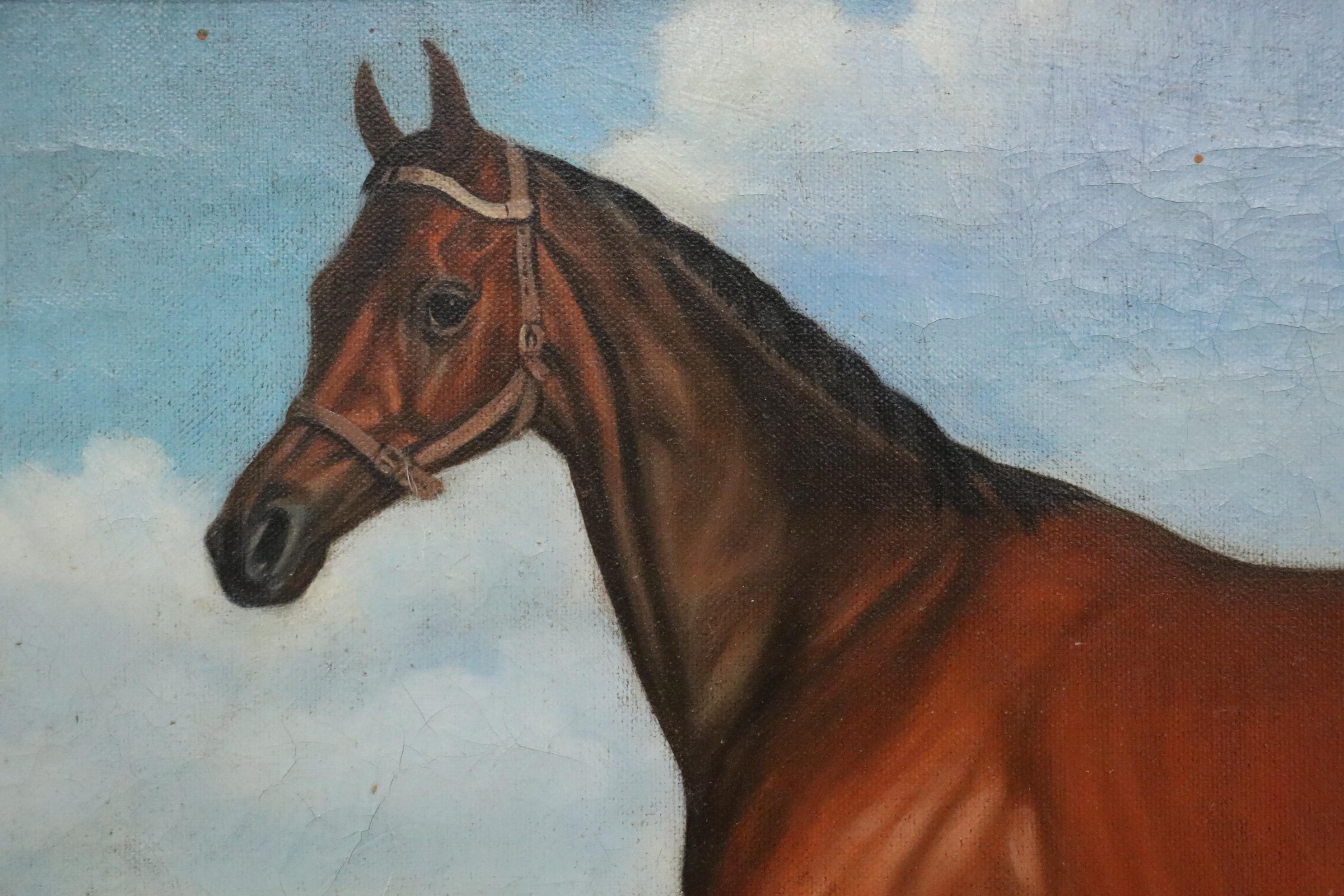 Shipley Equine Oil Painting, Early 20th Century