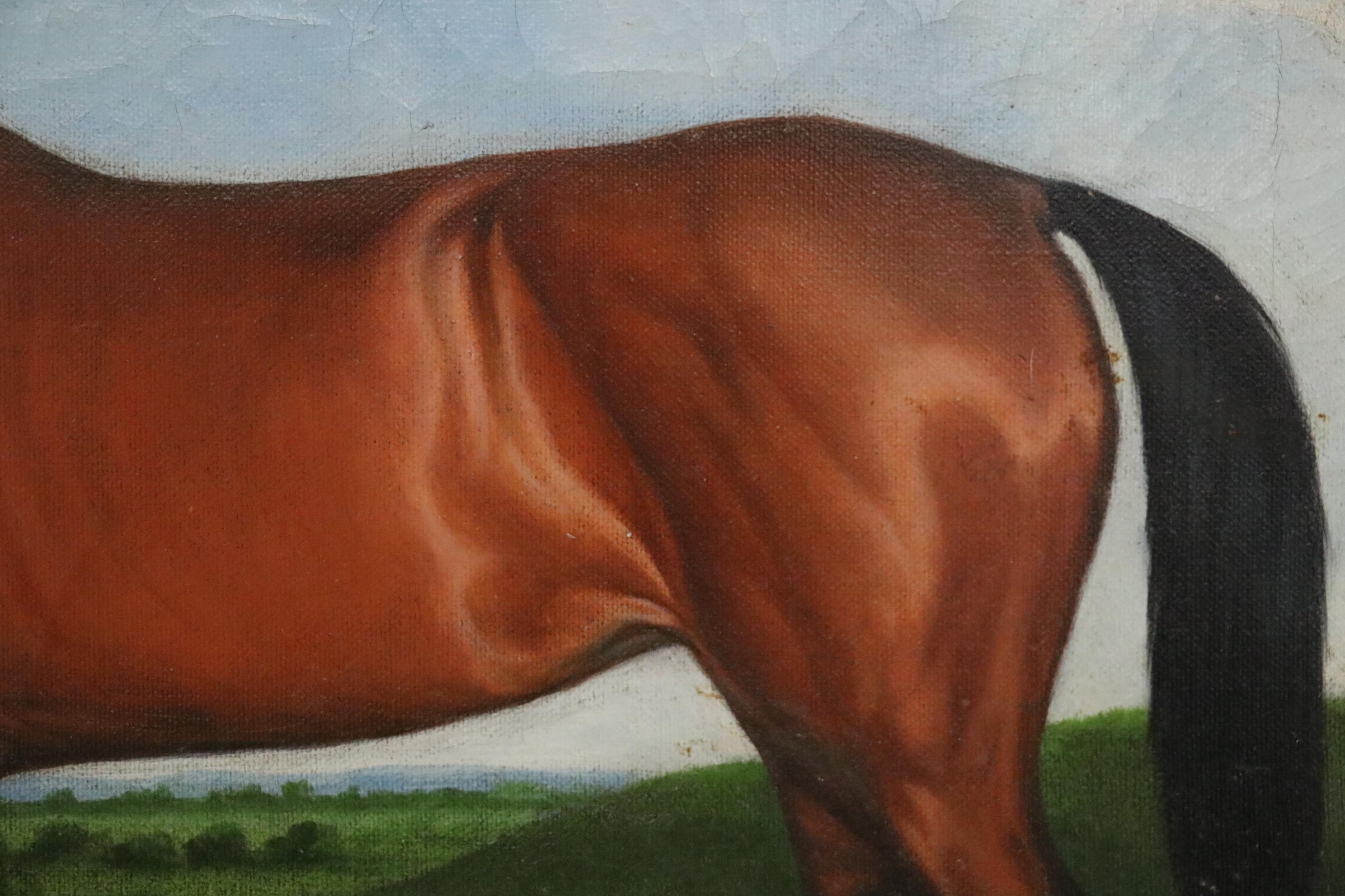 Shipley Equine Oil Painting, Early 20th Century