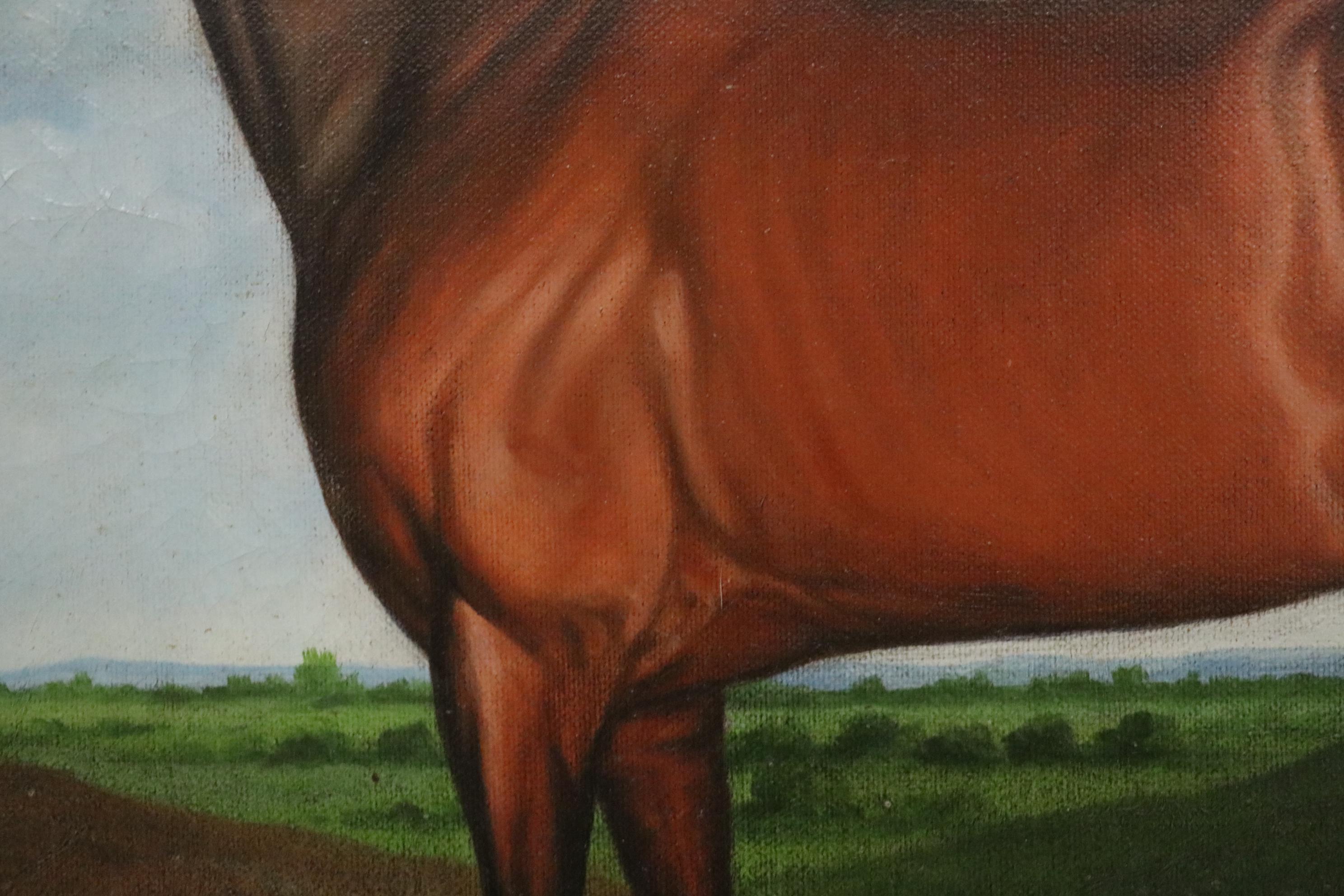 Shipley Equine Oil Painting, Early 20th Century