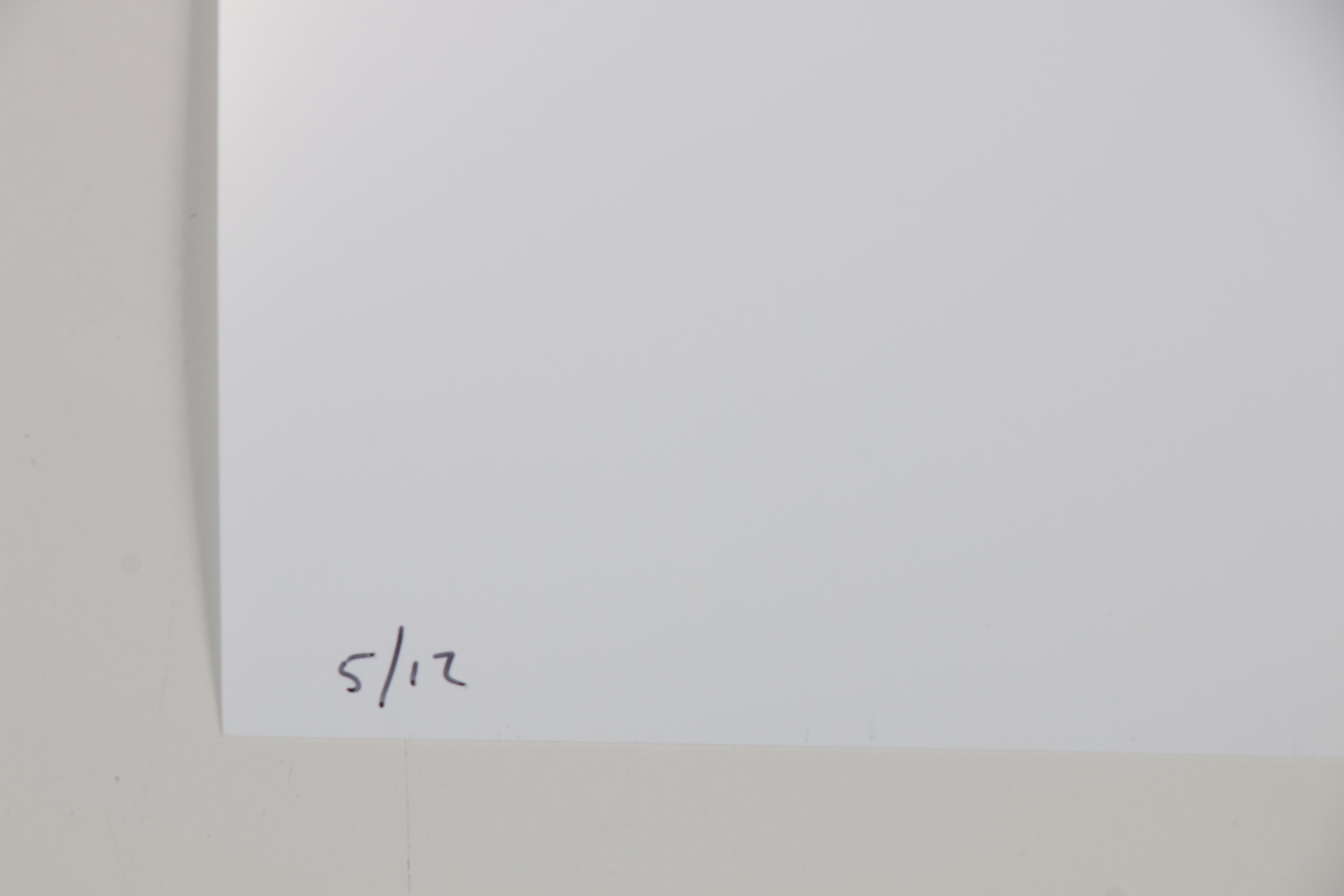 William Wegman Color Photograph "Algae Girl," 2002