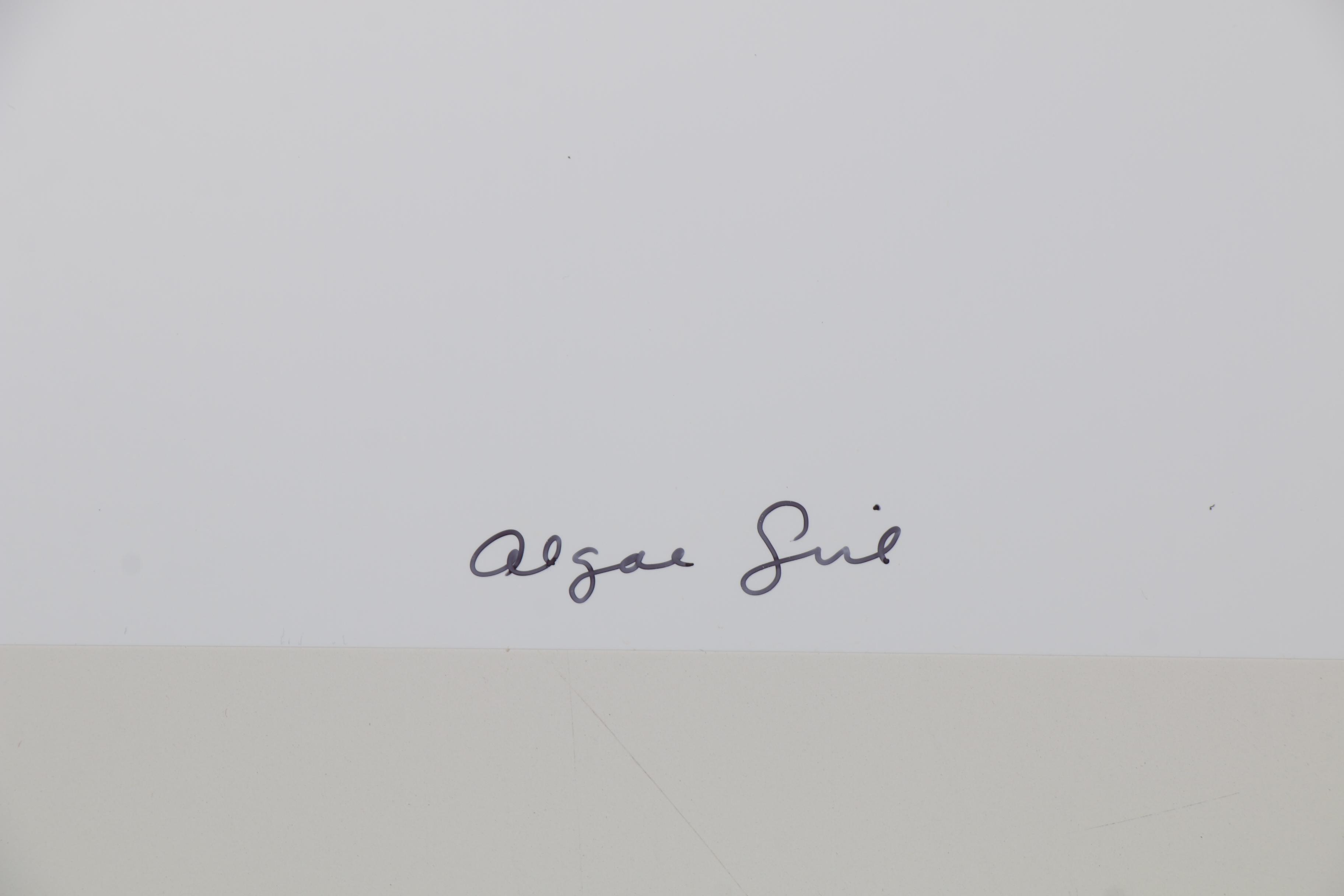 William Wegman Color Photograph "Algae Girl," 2002