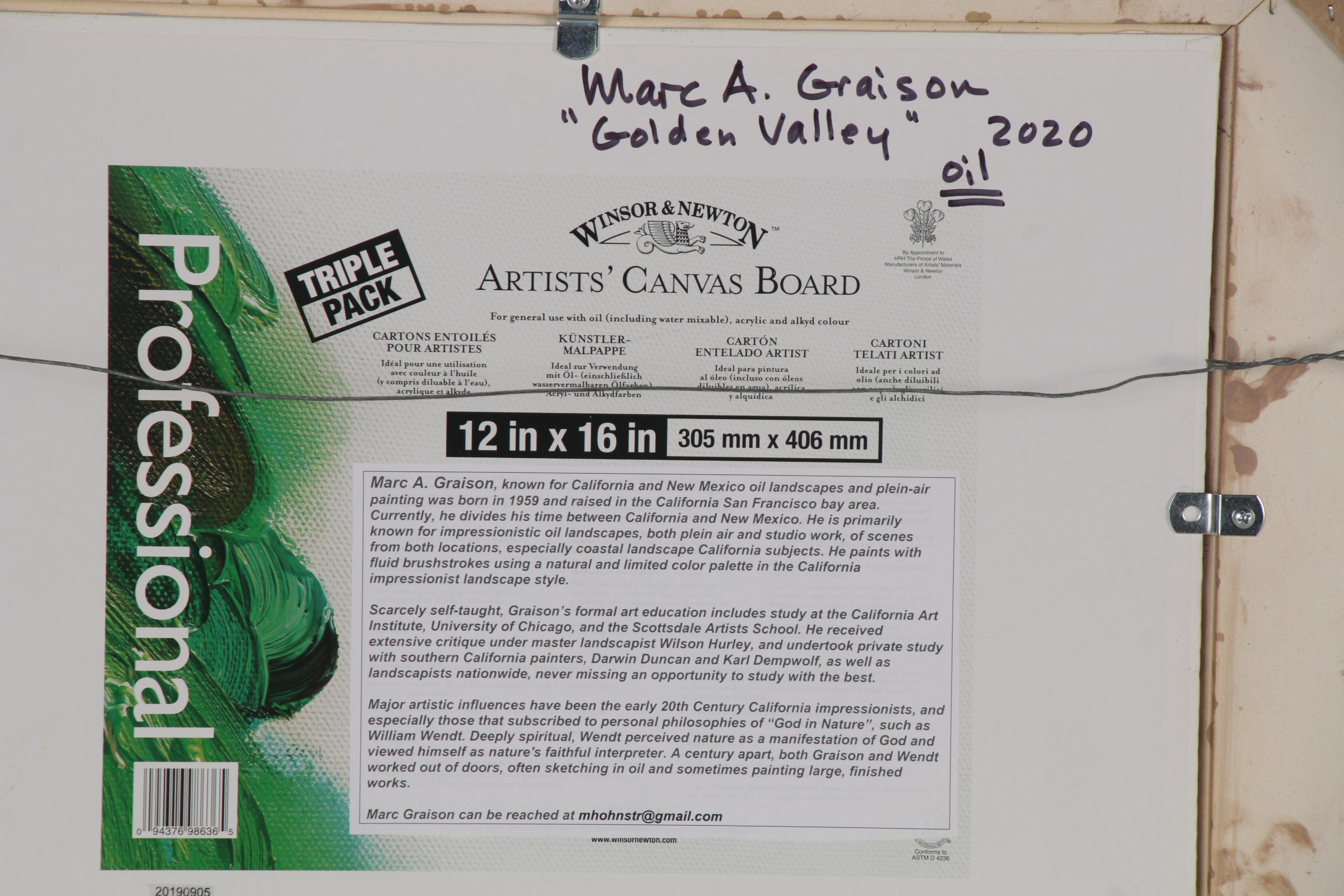 Marc A. Graison Oil Painting "Golden Valley," 2020