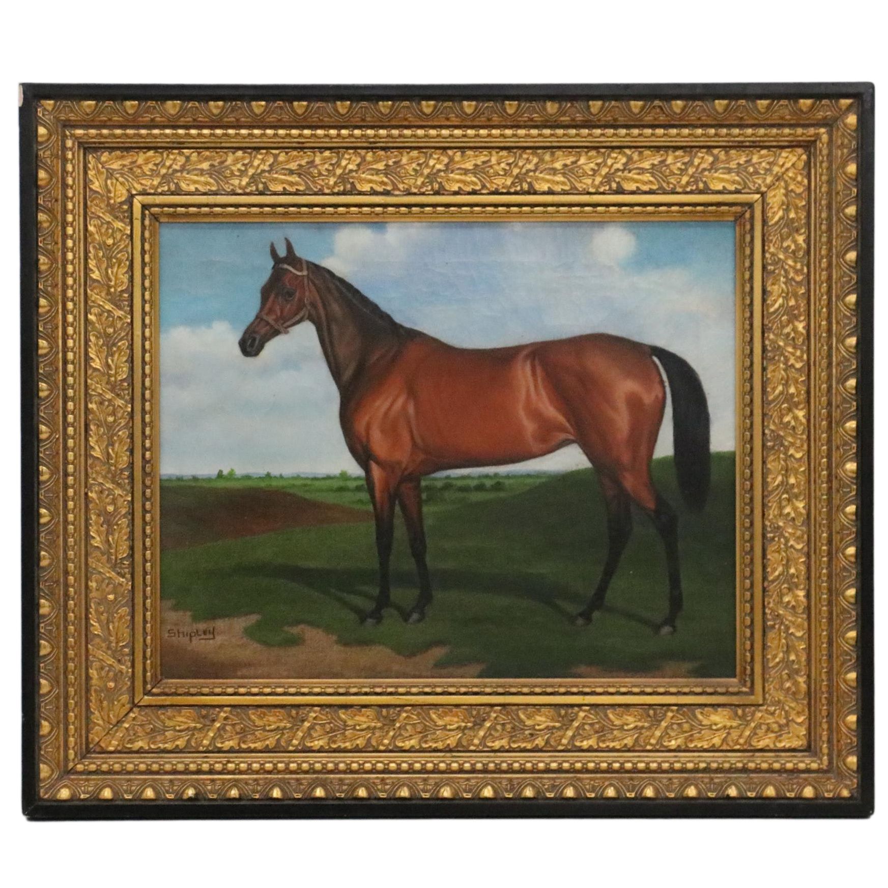 Shipley Equine Oil Painting, Early 20th Century